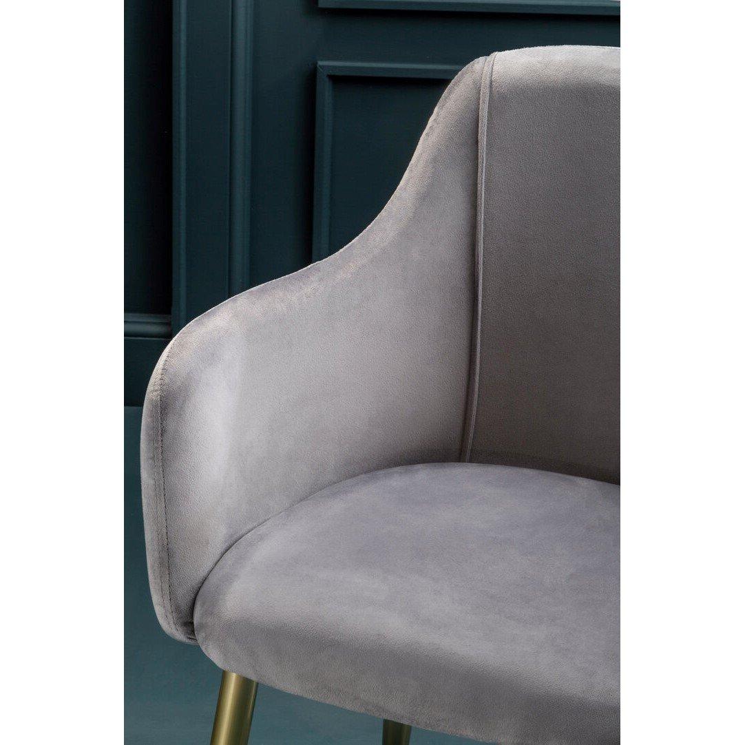 Grey - Interiors by Premier - Darcy Grey Velvet Dining Chair - 2