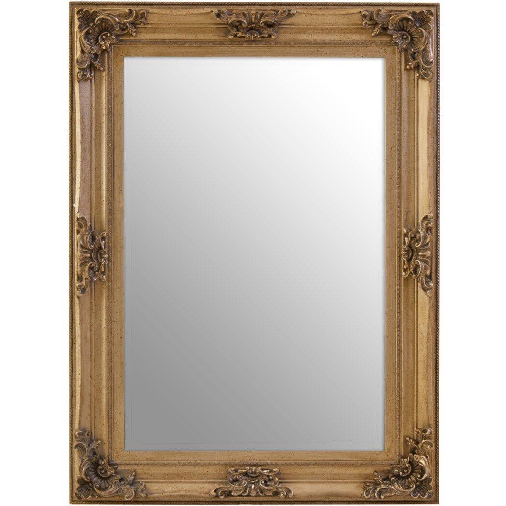 Interiors By Premier  Antoinette Antique Bronze Wall Mirror - Silver