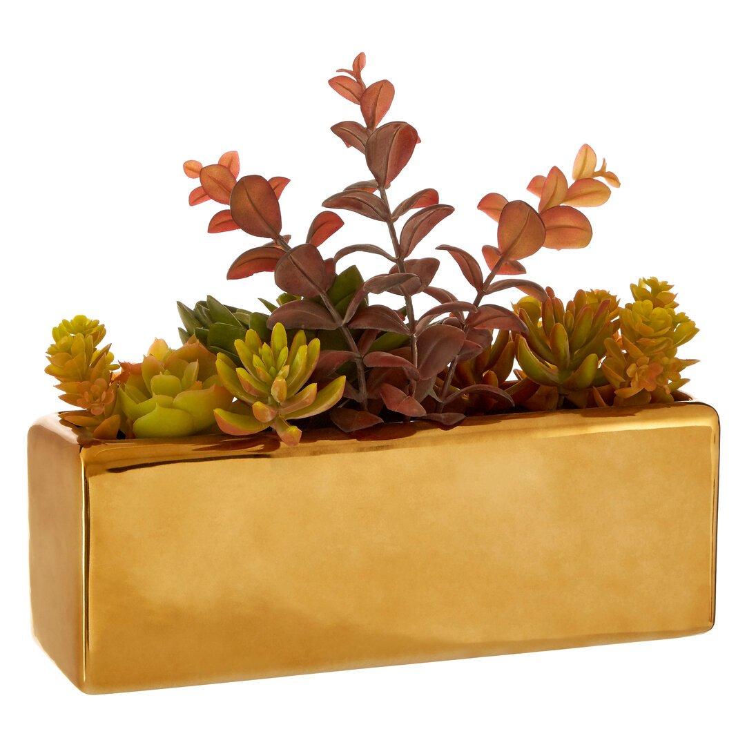 Fiori  Mixed Succulents With Ceramic Pot Gold