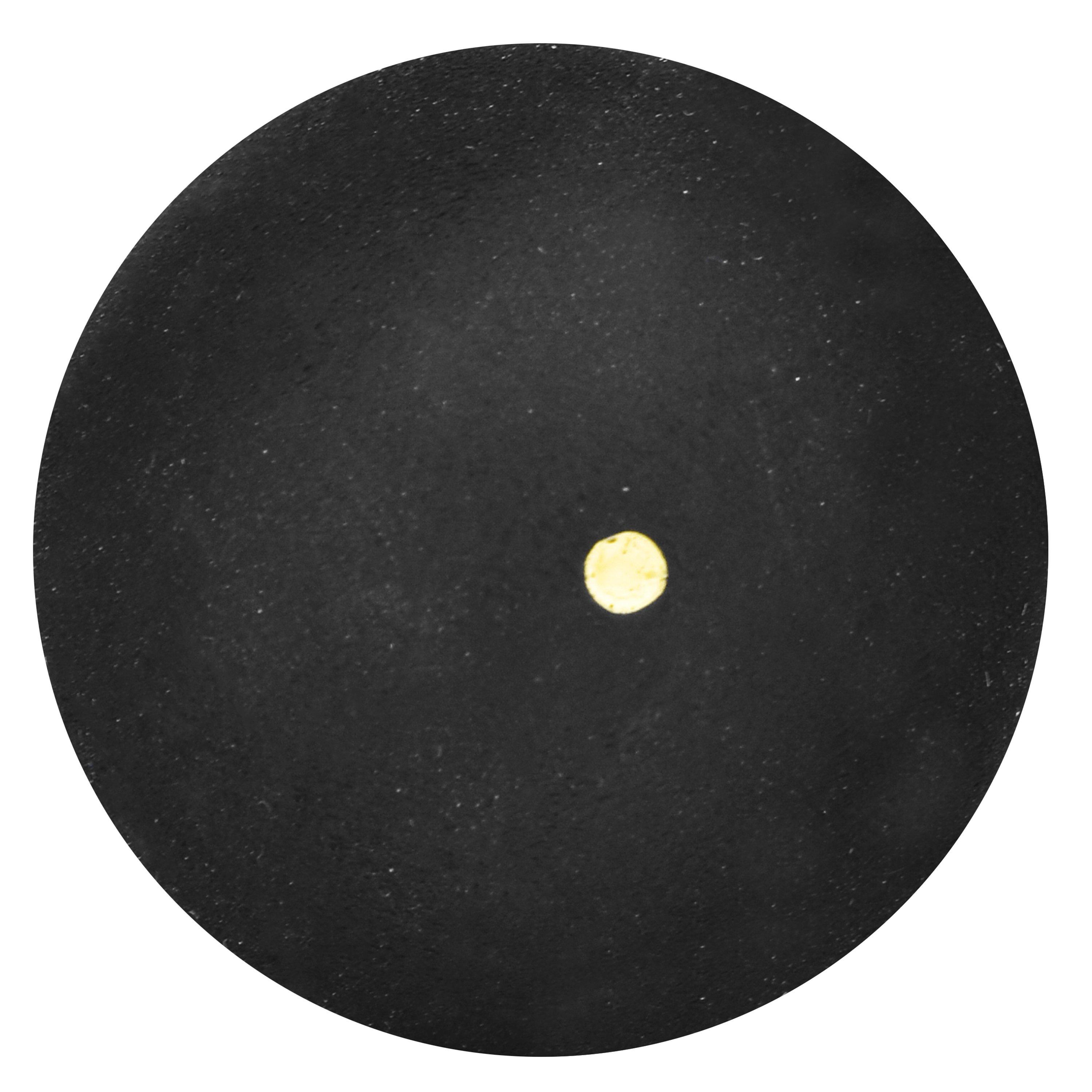 Dunlop Competition Squash Ball Squash Balls Sports Direct MY