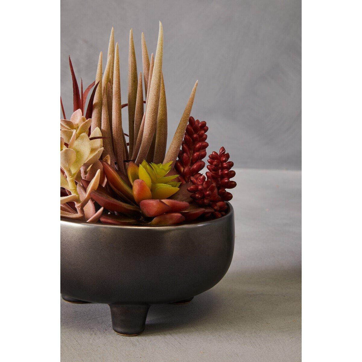 Grey - Fiori - Mixed Succulents In Grey Ceramic Pot - 3
