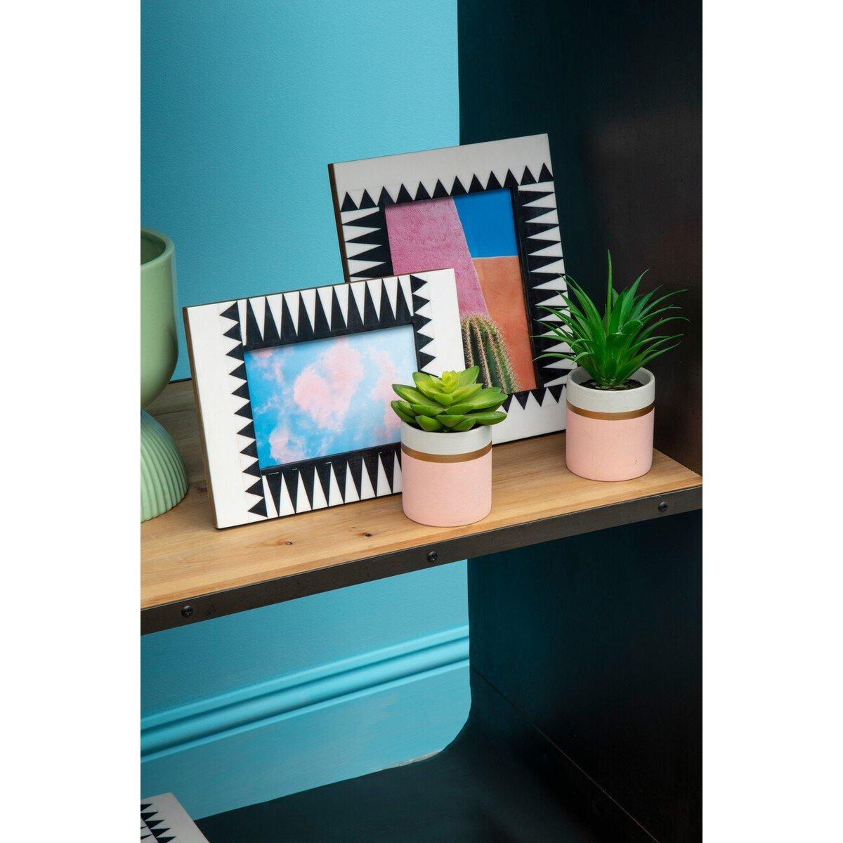 Pink - Fiori - Fiori Set of 3 Pink Pot Succulents - 5