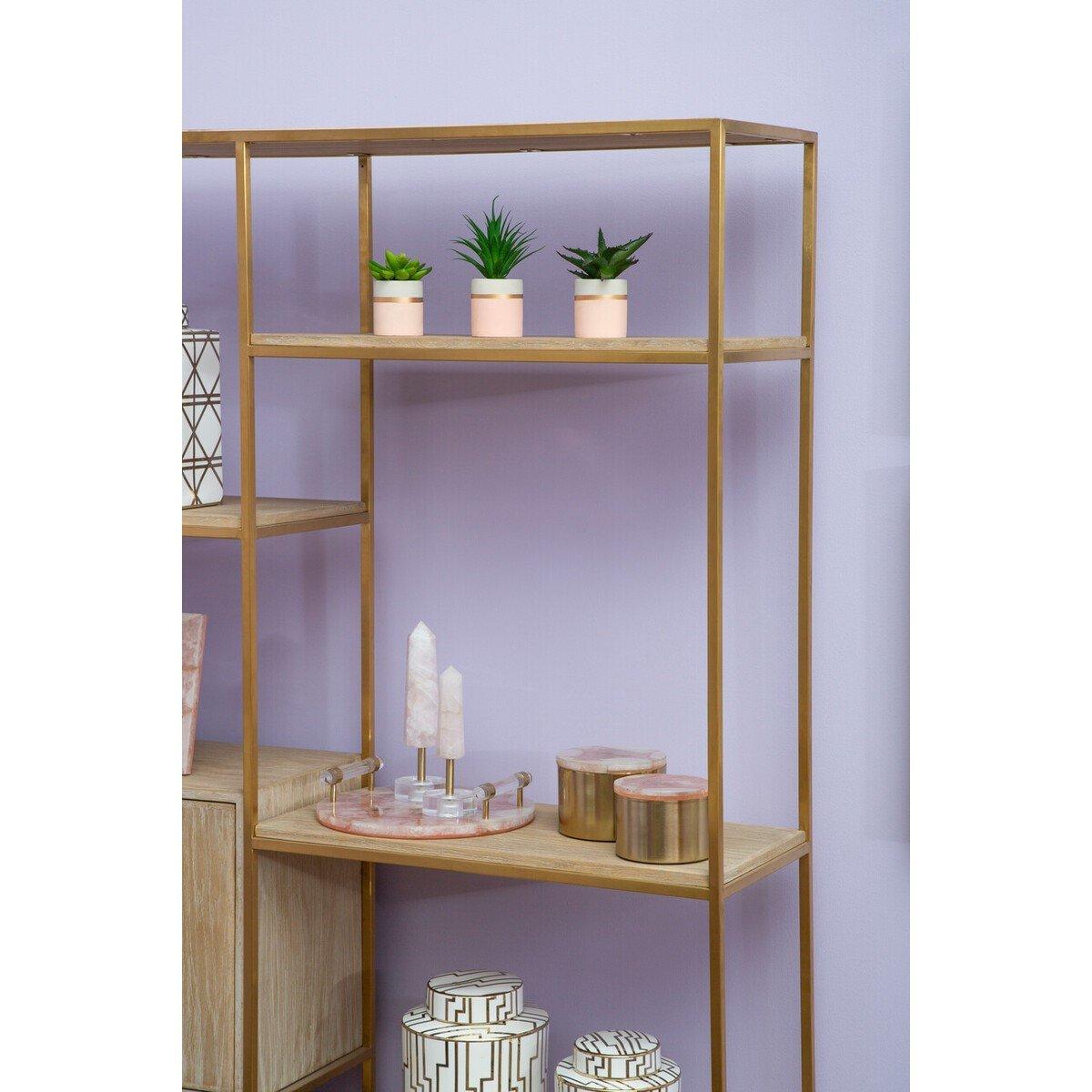 Pink - Fiori - Fiori Set of 3 Pink Pot Succulents - 6