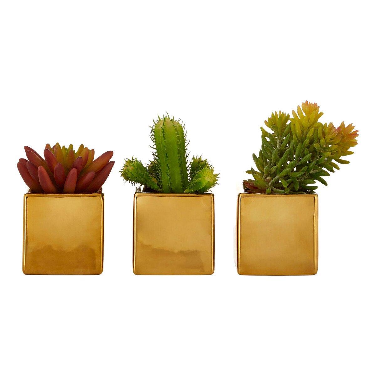 Gold - Fiori - Set of 3 Mini Succulents Fiori with Gold Pot - 2