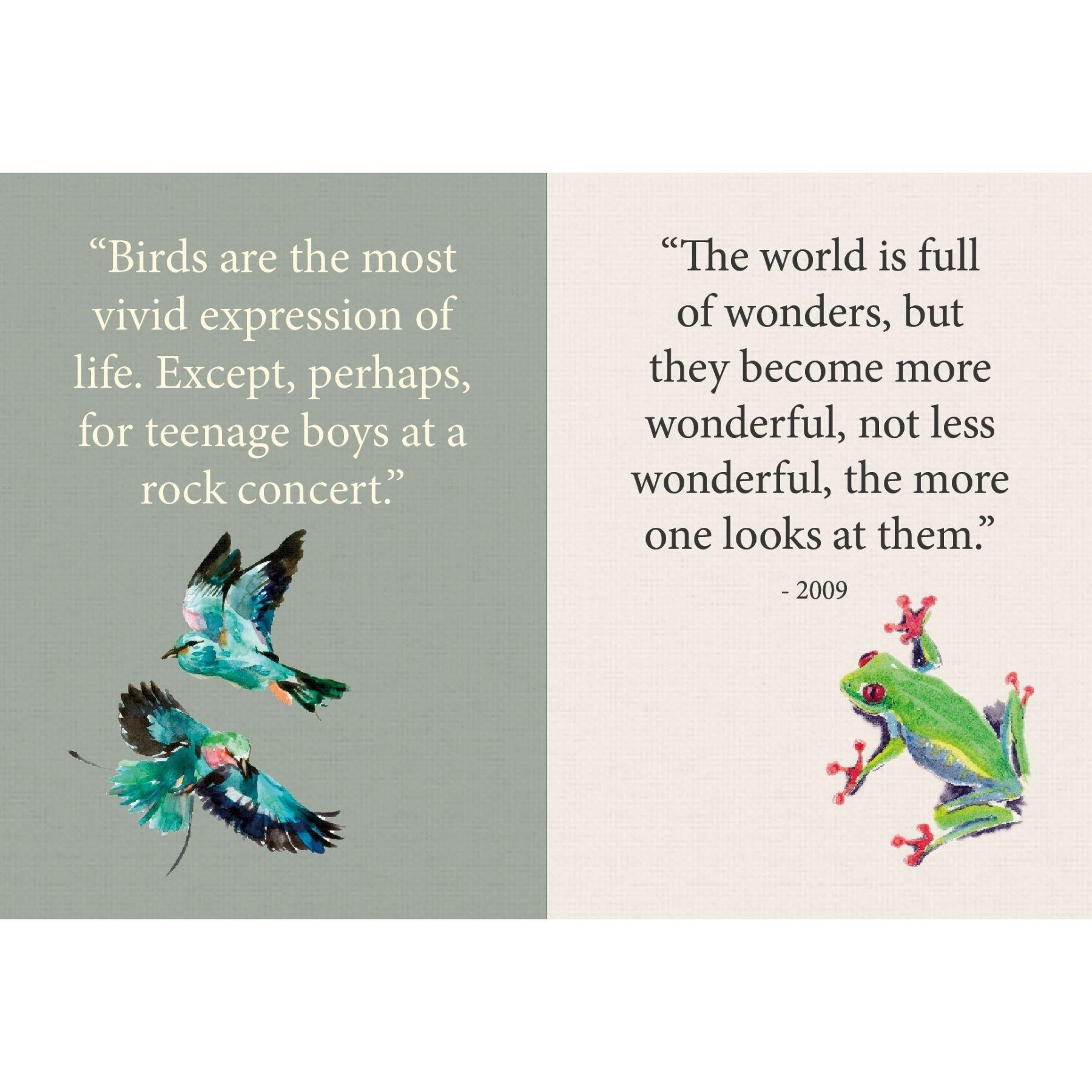 Multi - Boxer Gifts - David Attenboroughs Words of Wisdom Gift Book - 6