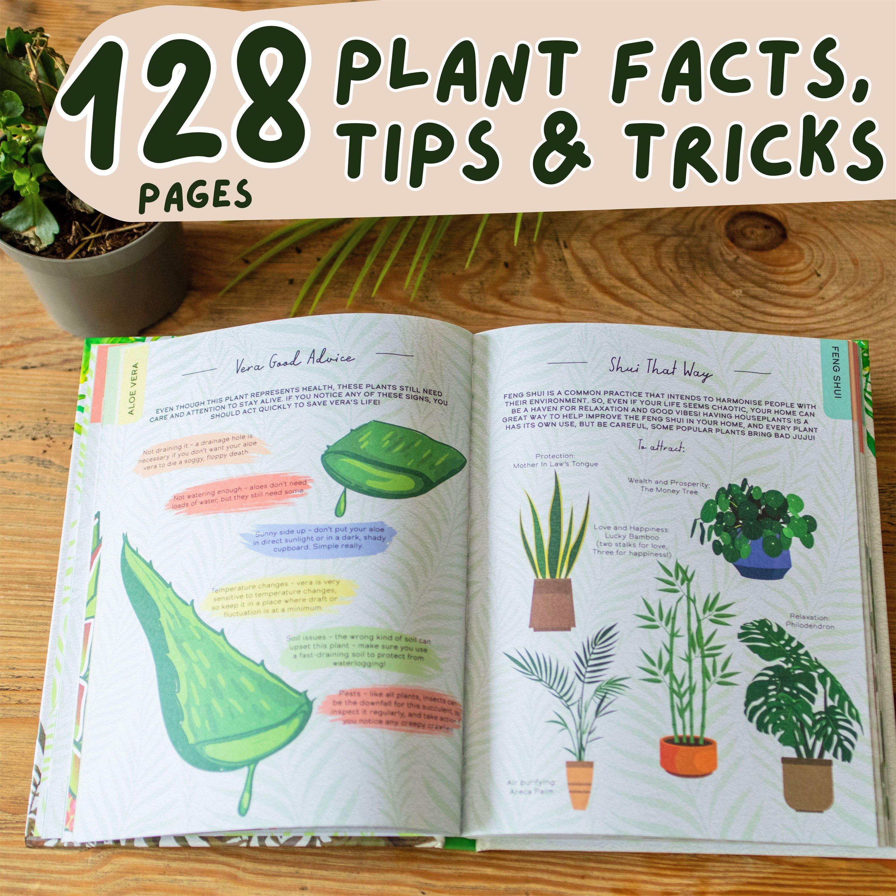 Multi - Boxer Gifts - Please Dont Die Houseplant Book - Tips And Tricks - 3