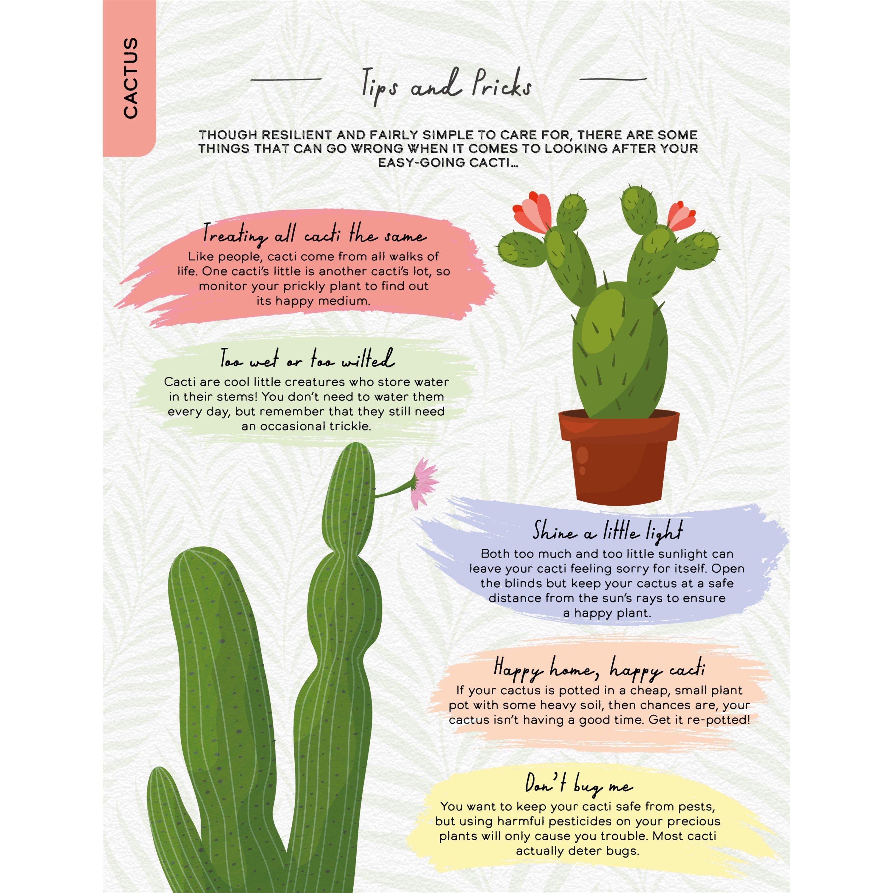 Multi - Boxer Gifts - Please Dont Die Houseplant Book - Tips And Tricks - 5