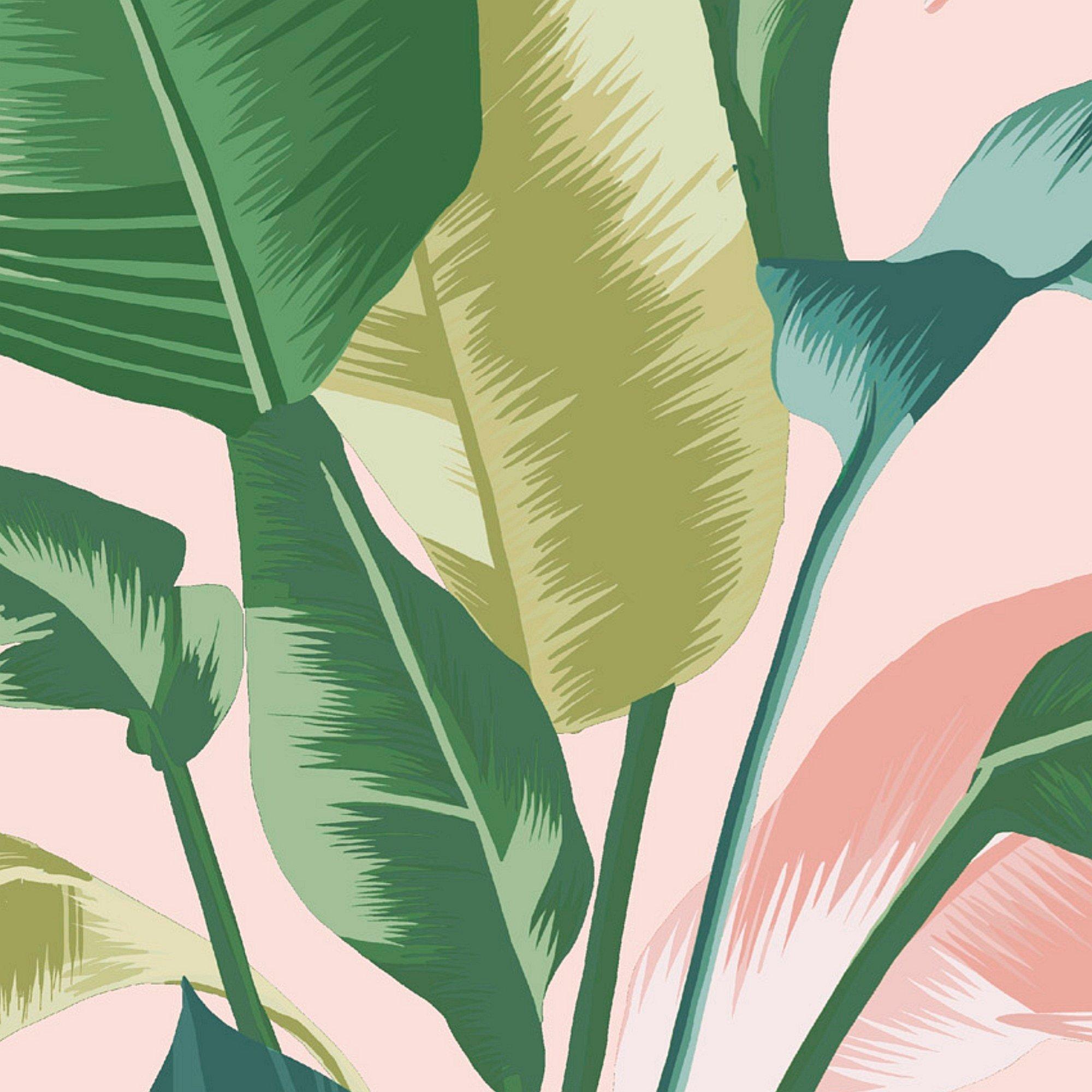 Pink - Envy - Envy Leaf It Out Sunrise Wallpaper - 4