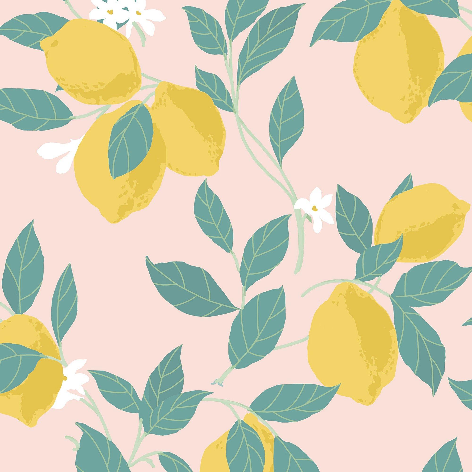 Pink - Envy - Envy Feeling Fruity Blush Wallpaper - 2