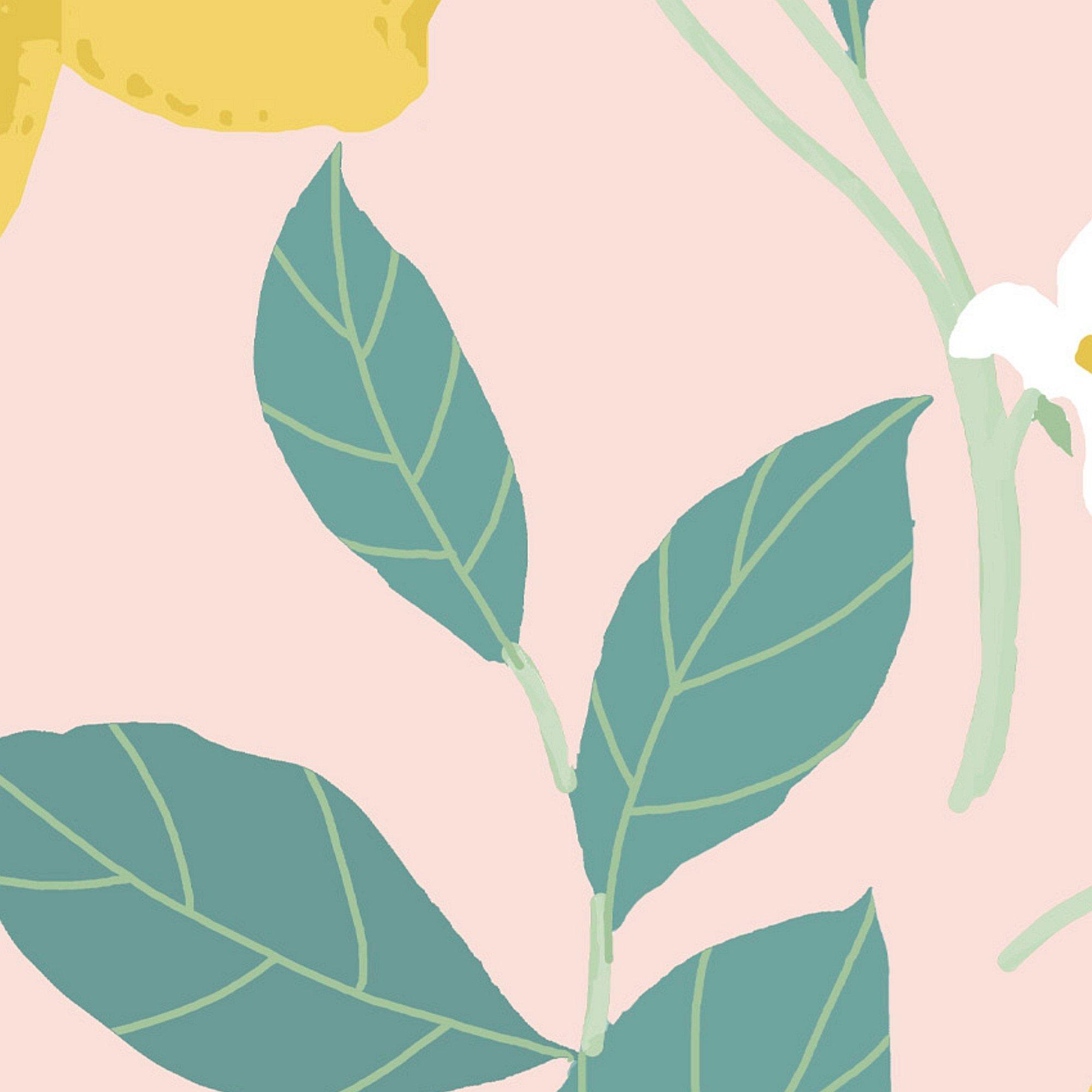 Pink - Envy - Envy Feeling Fruity Blush Wallpaper - 4