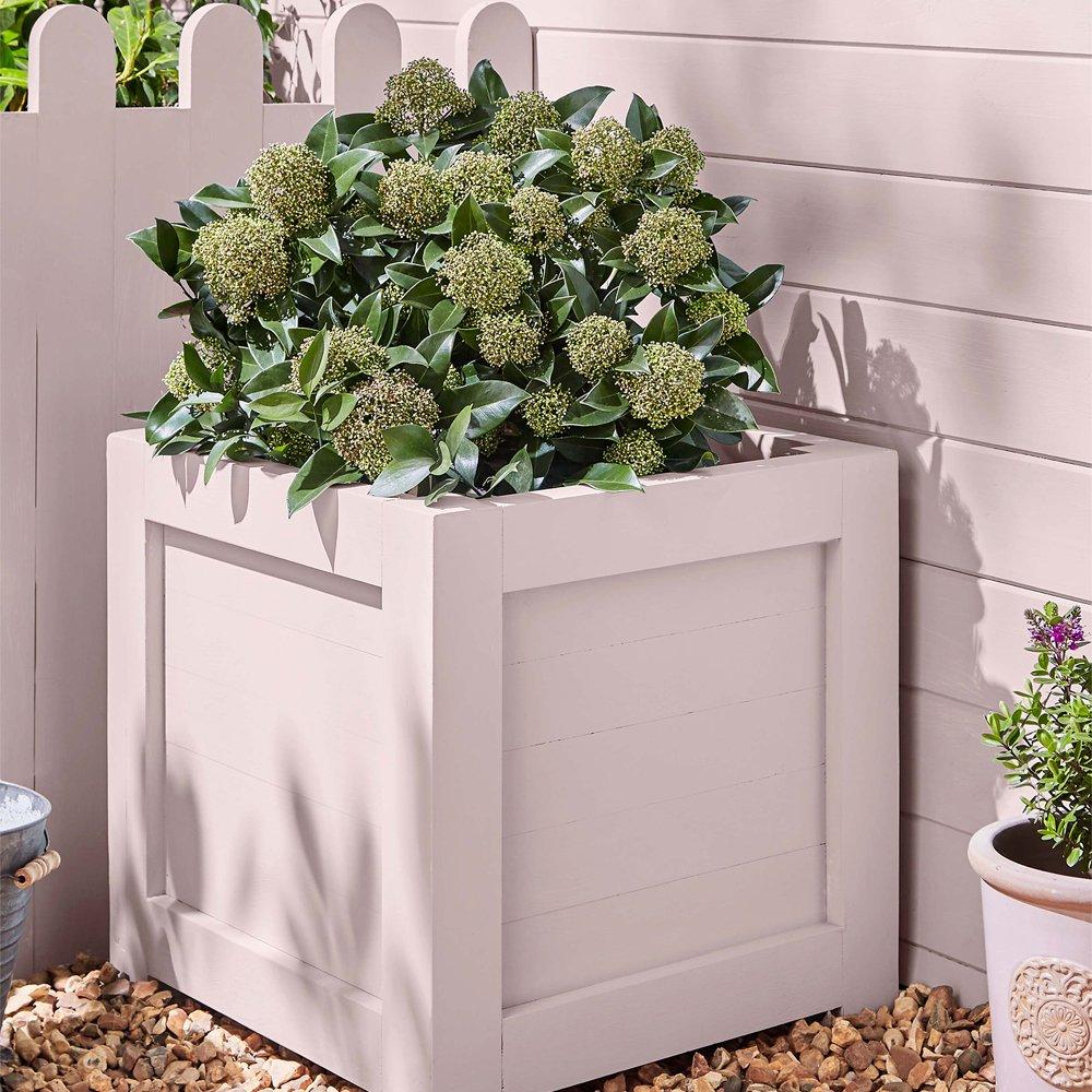 Blush - Laura Ashley - Blush Paint Exterior 2.5L - 3