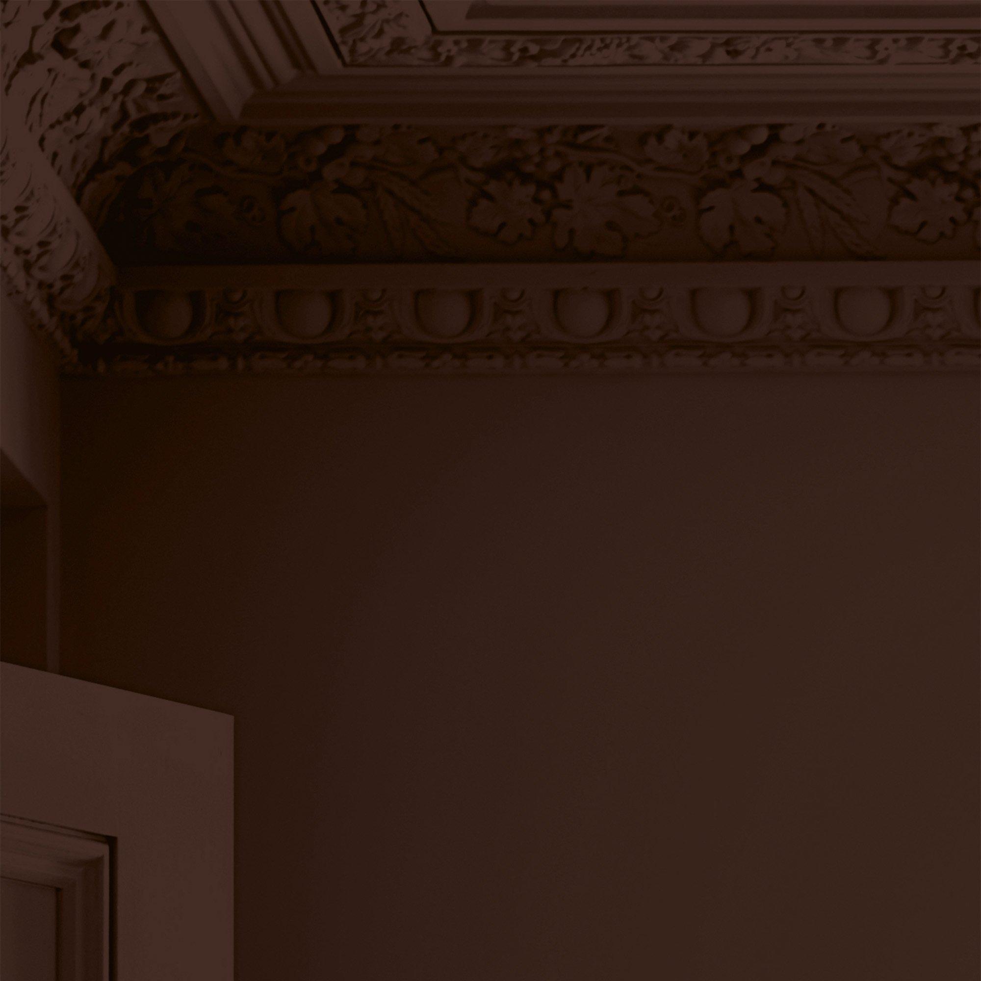 Chestnut - Laura Ashley - Laura Ashley Matt Emulsion Paint  - Chestnut - 4