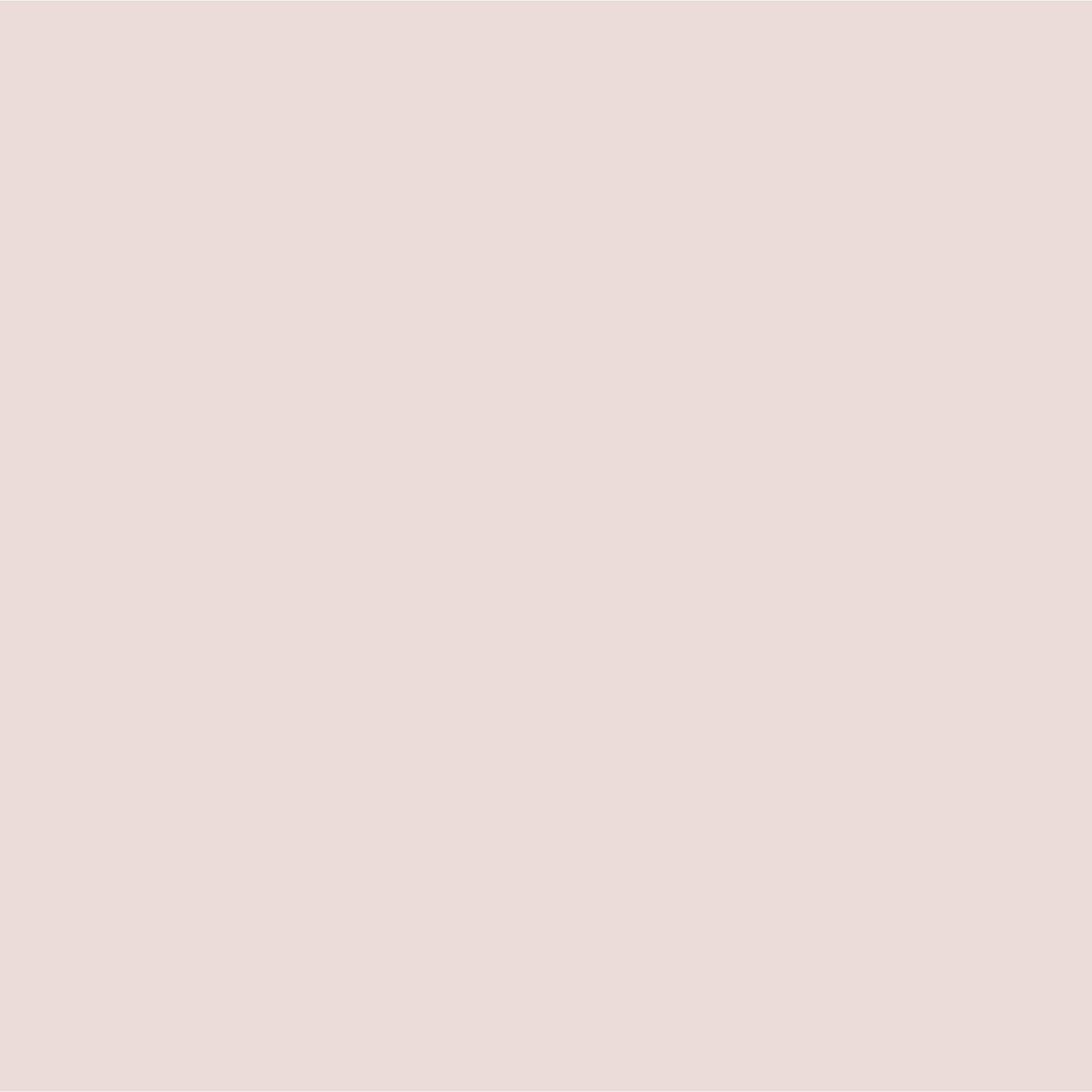Pale Blush - Laura Ashley - Laura Ashley Matt Emulsion Paint  - Pale Blush - 3