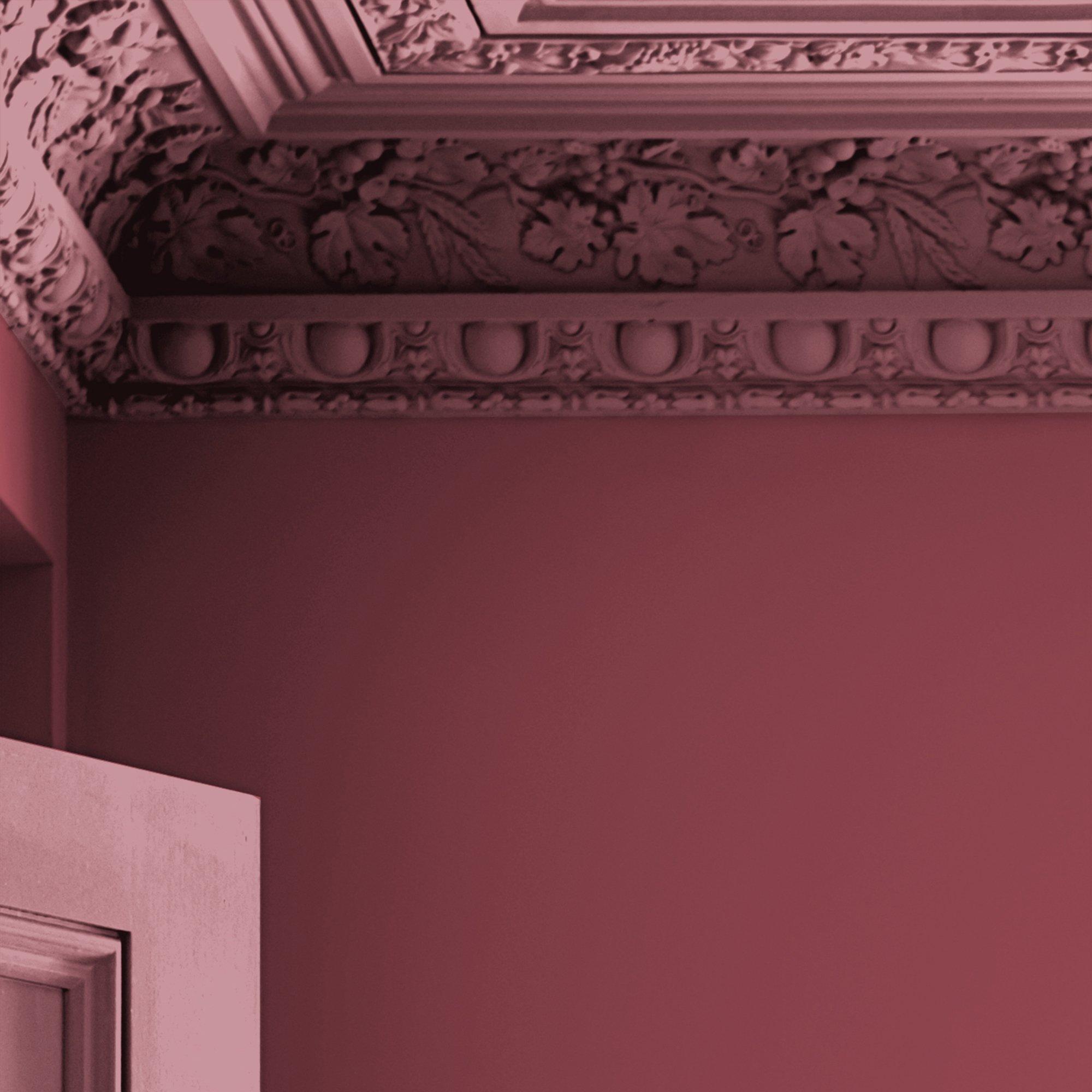 Pale Cranberry - Laura Ashley - Laura Ashley Matt Emulsion Paint  - Pale Cranberry - 4