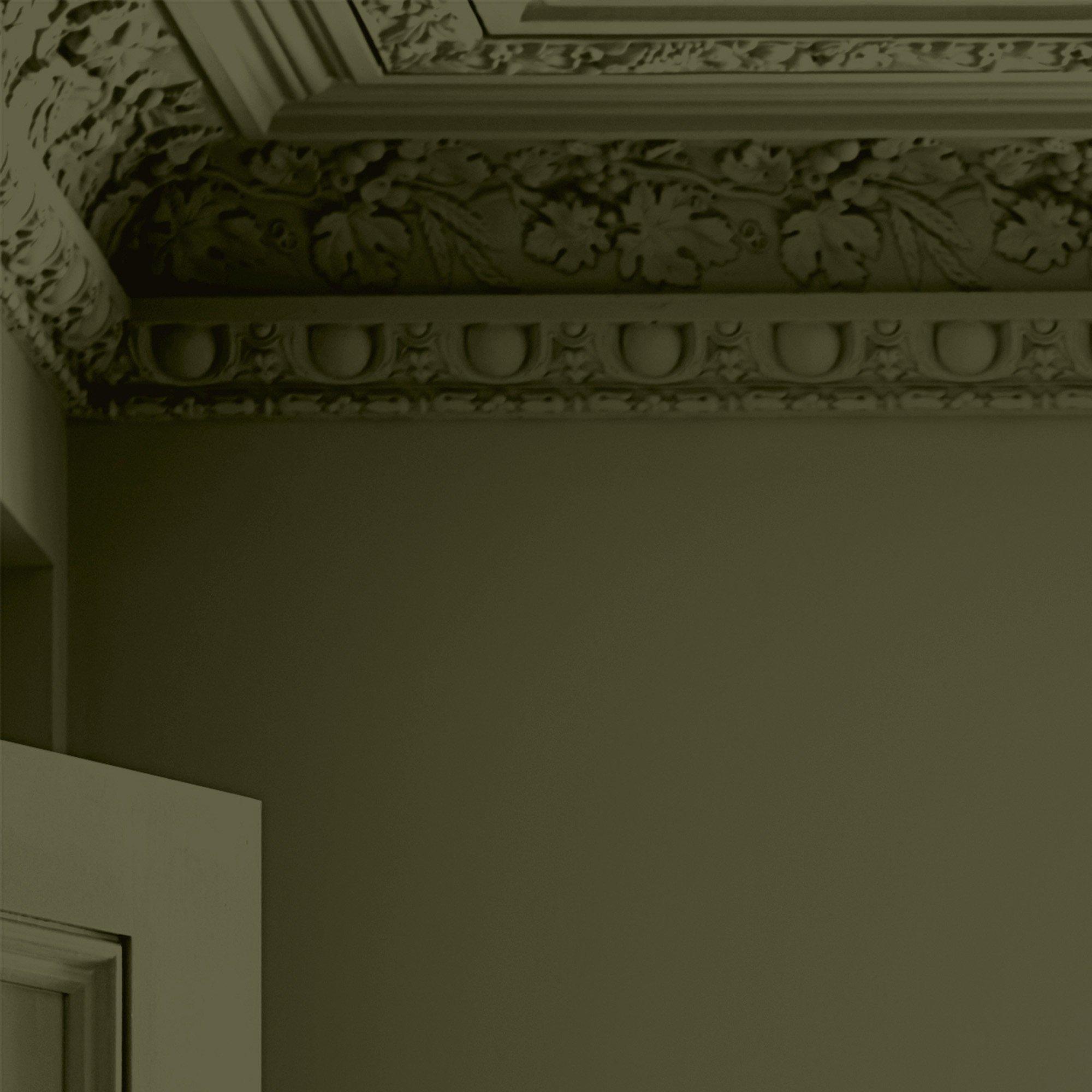 Dark Hedgerow - Laura Ashley - Laura Ashley Matt Emulsion Paint  - Dark Hedgerow - 4