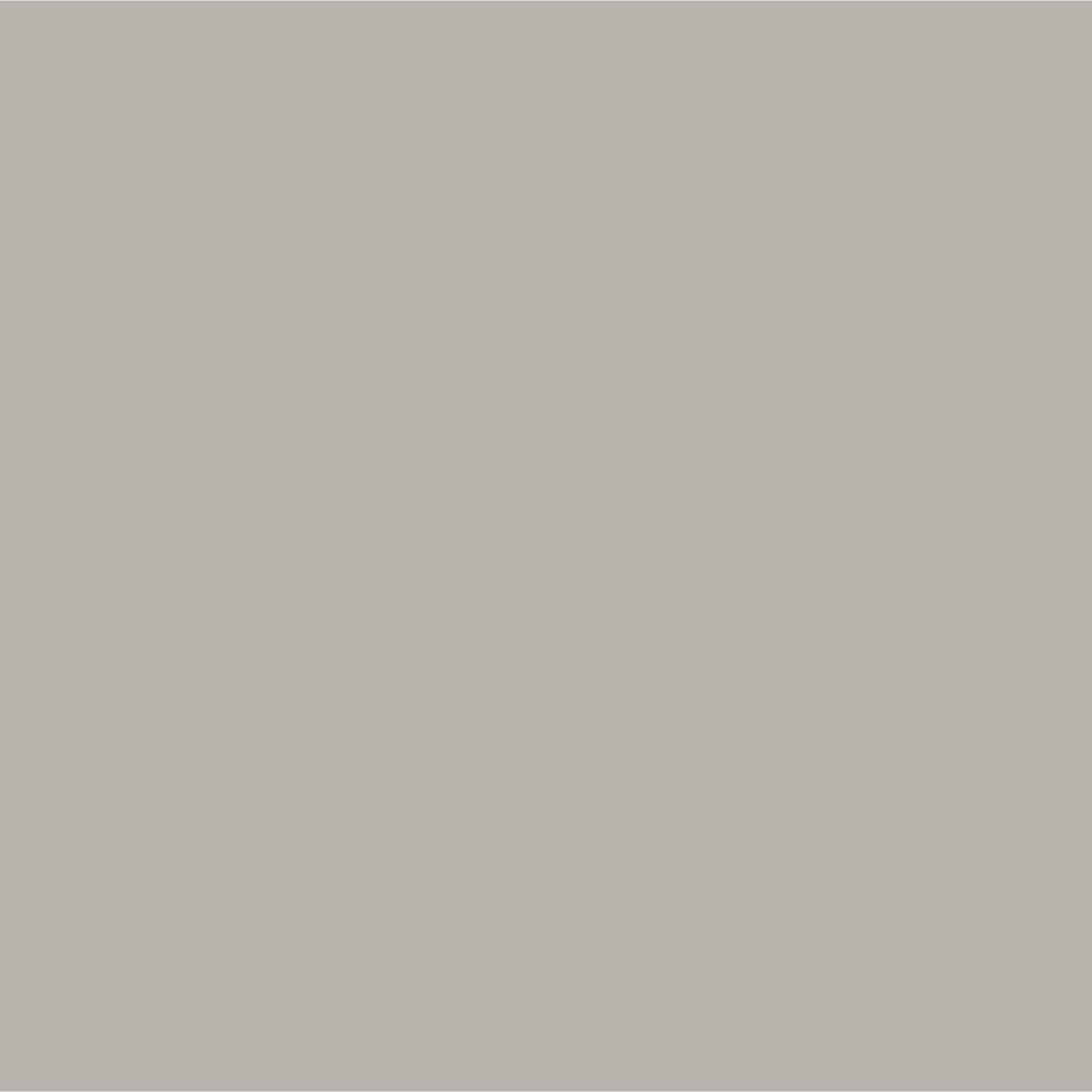 Dark Dove Grey - Laura Ashley - Laura Ashley Matt Emulsion Paint  - Dark Dove Grey - 3