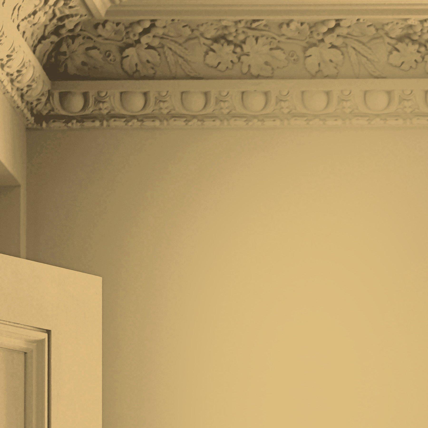 Ochre Yellow - Laura Ashley - Laura Ashley Matt Emulsion Paint  - Ochre Yellow - 3