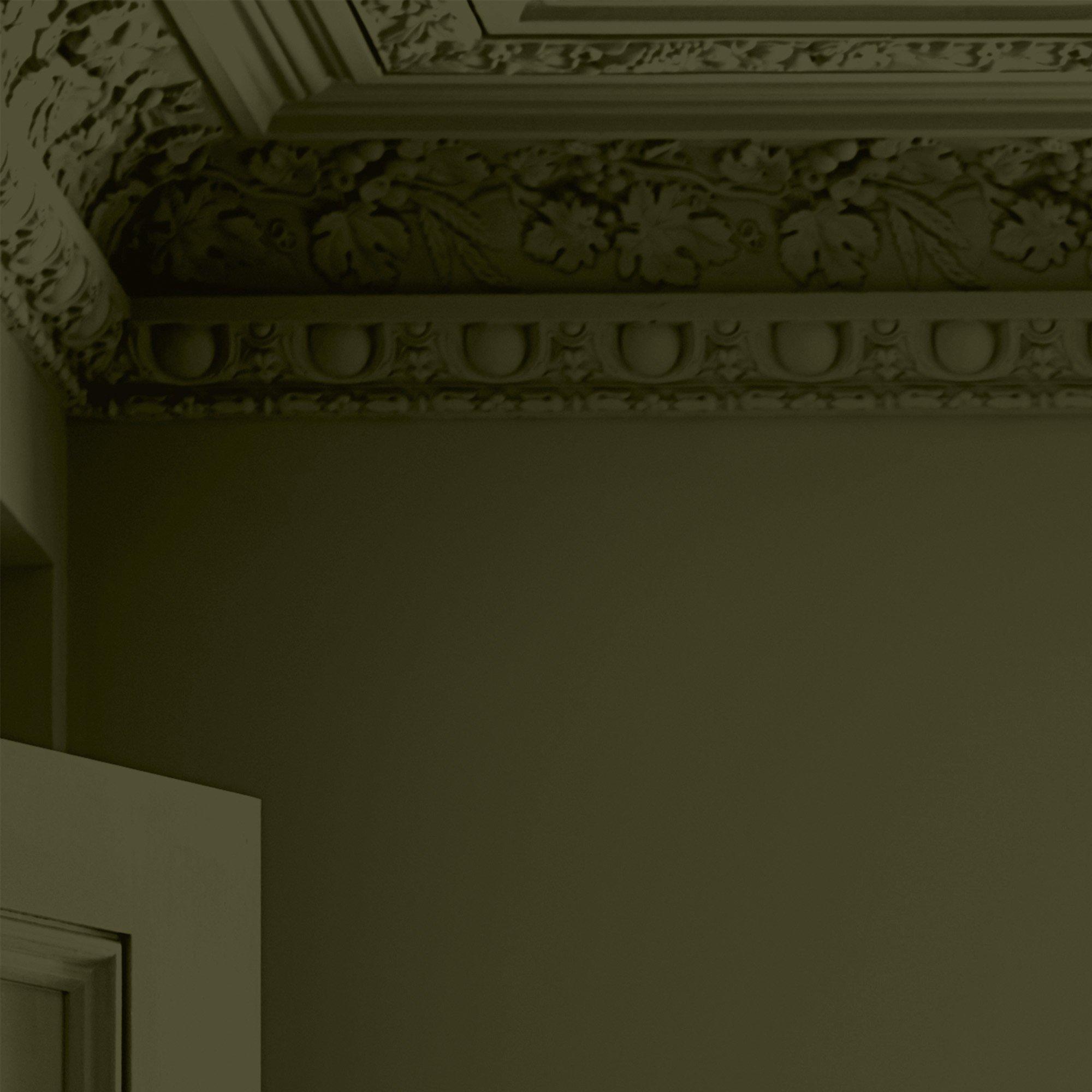 Olive - Laura Ashley - Laura Ashley Matt Emulsion Paint  - Olive - 4