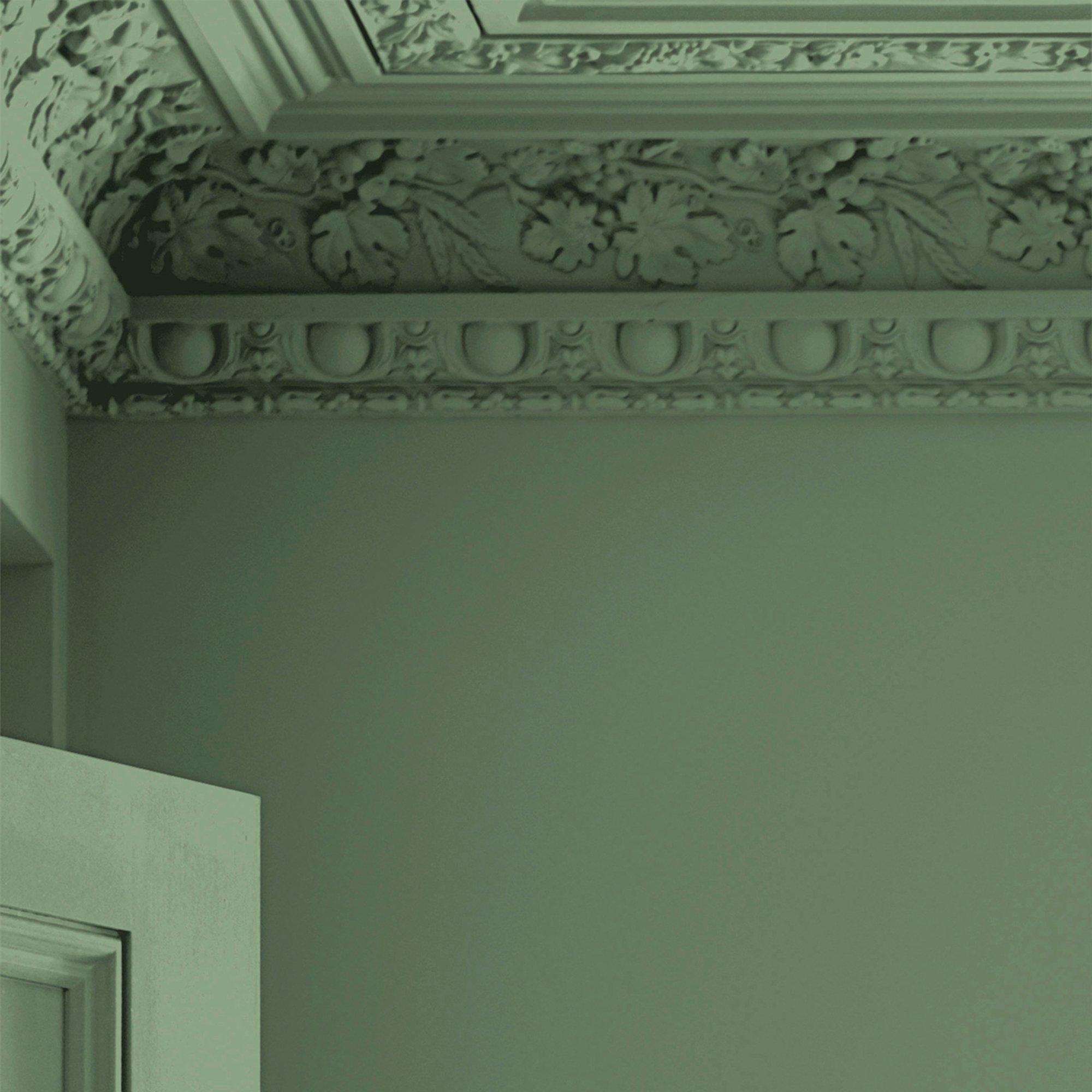 Fresh Green - Laura Ashley - Laura Ashley Matt Emulsion Paint  - Fresh Green - 4