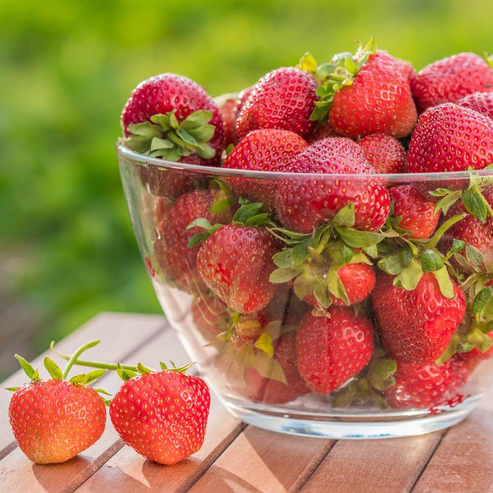 Multi - YouGarden - Strawberry Runners - Everbearer Sweet Summer - 2