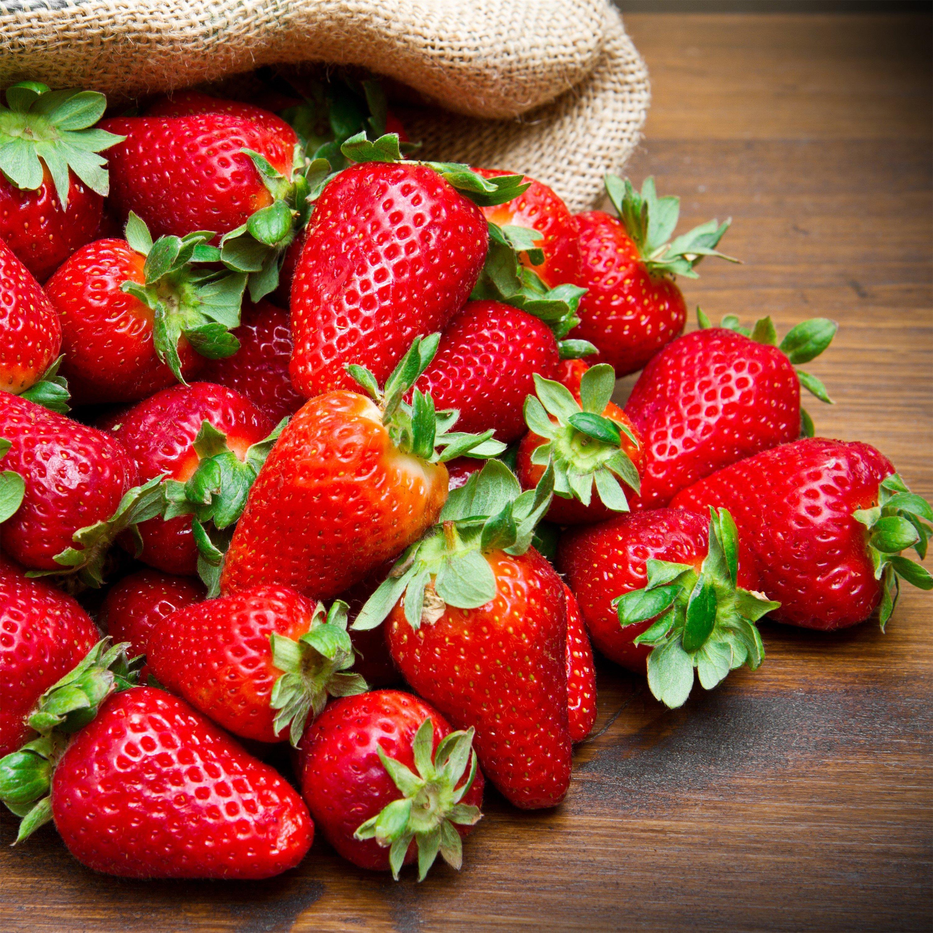 Multi - YouGarden - Strawberry Growing Kit - Sweet Summer - 3