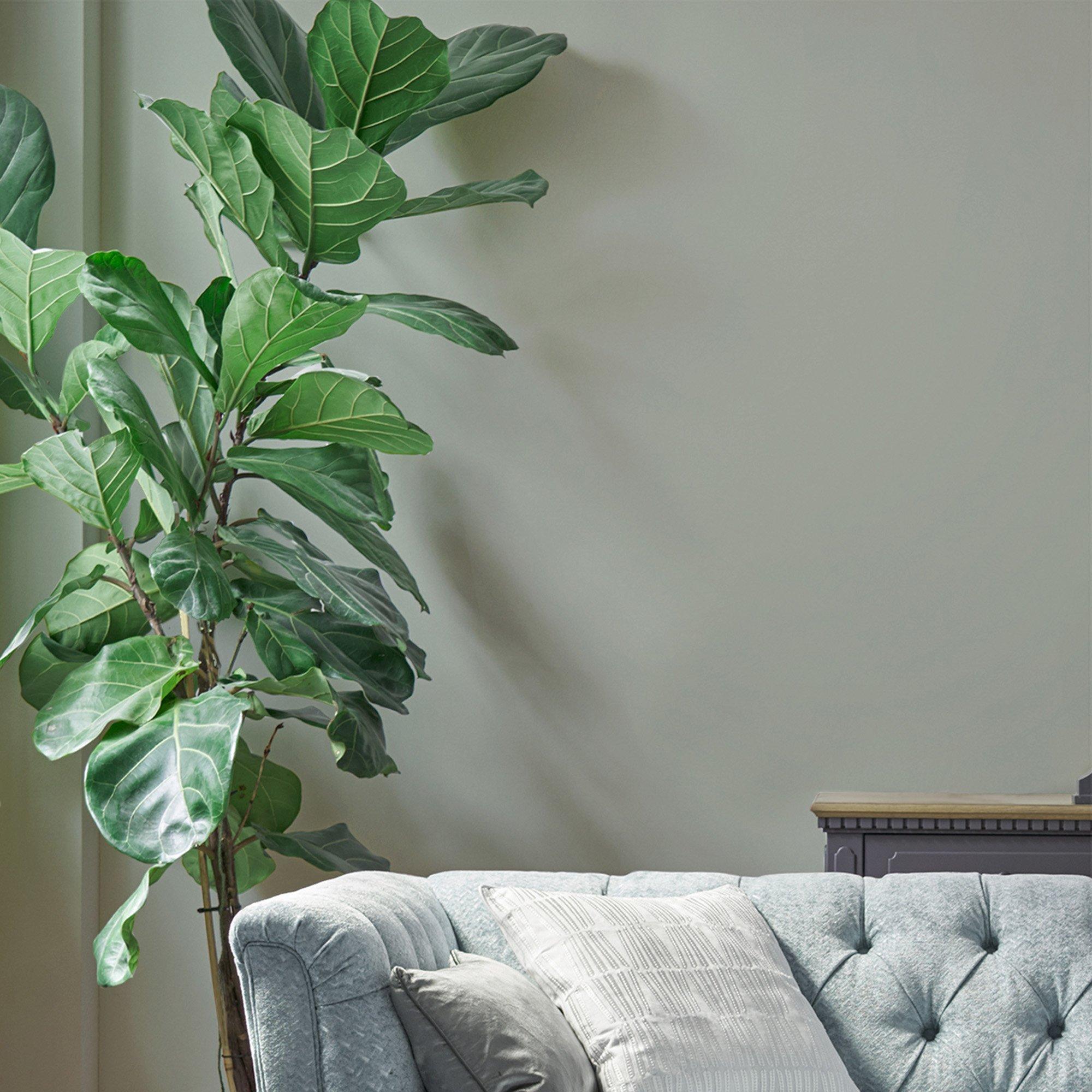 Sage Leaf - Laura Ashley - Laura Ashley Matt Emulsion Paint  - Sage Leaf - 2