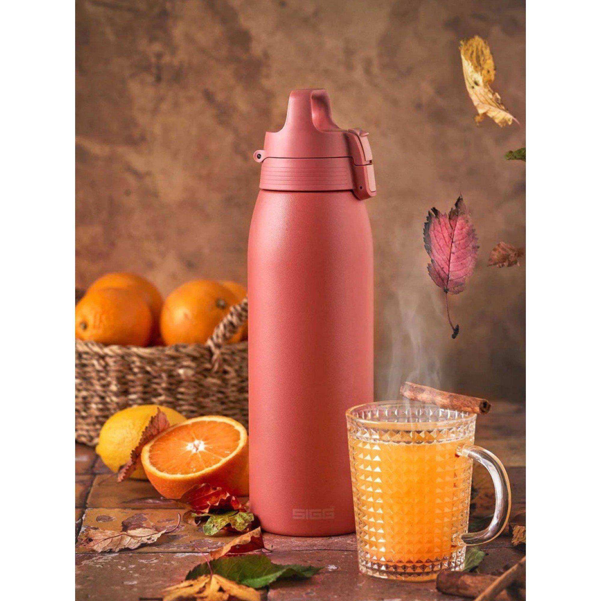 Red - Sigg - Shield Therm One 1L Bottle - 6
