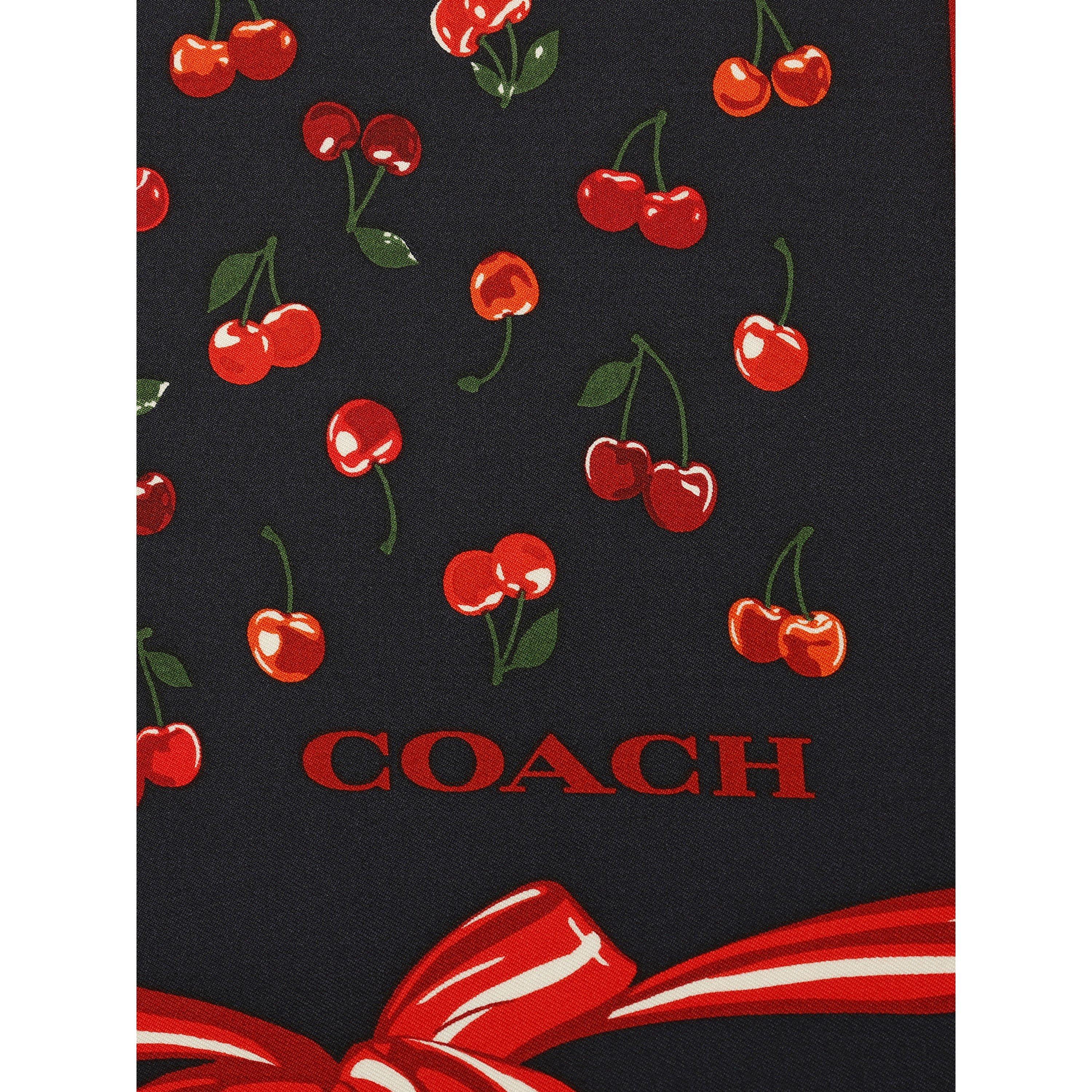 navy multi - Coach - Womens Cherry Mix Printed Silk Square and Skinny Scarf Gift Set - 4