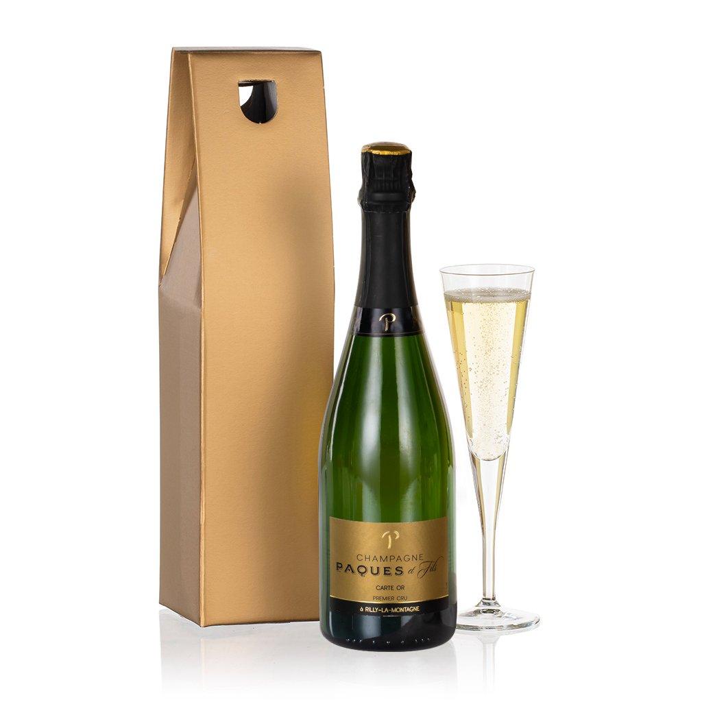 Virginia Hayward  Virgina Hayward Champagne Choice -  - Small