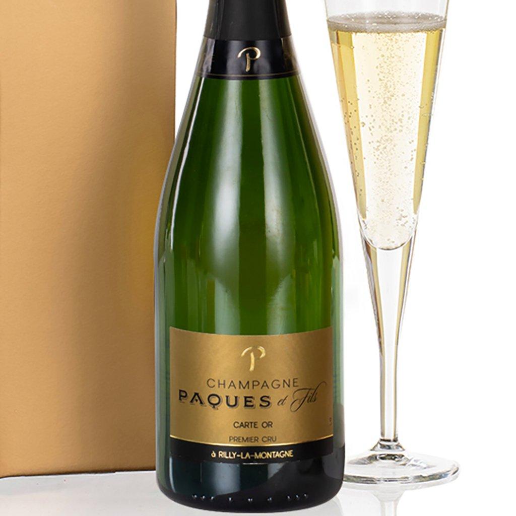 Multi - Virginia Hayward - Virgina Hayward Champagne Choice - 3