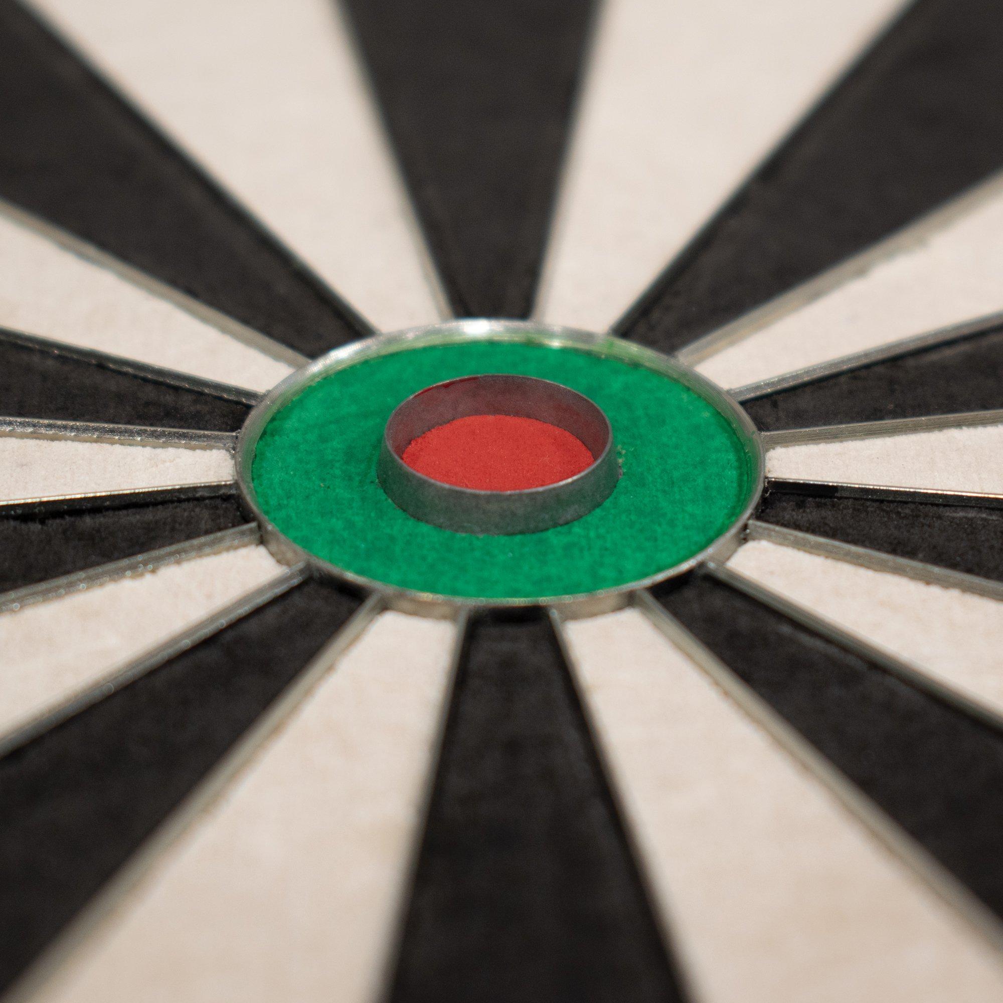 Multi - Hy-Pro - Hy-Pro Apex Dartboard - 2