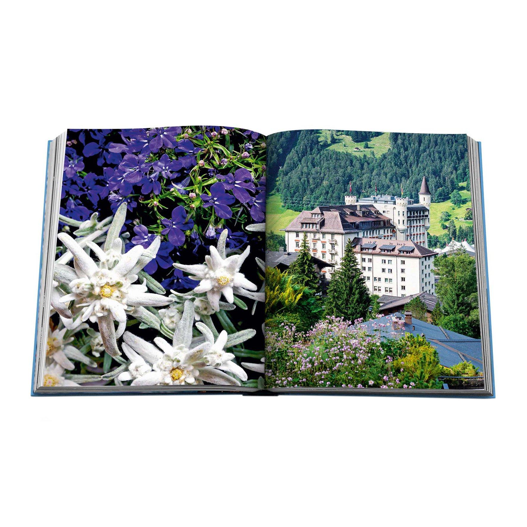 Blue - Assouline - Gstaad Glam Book - 11