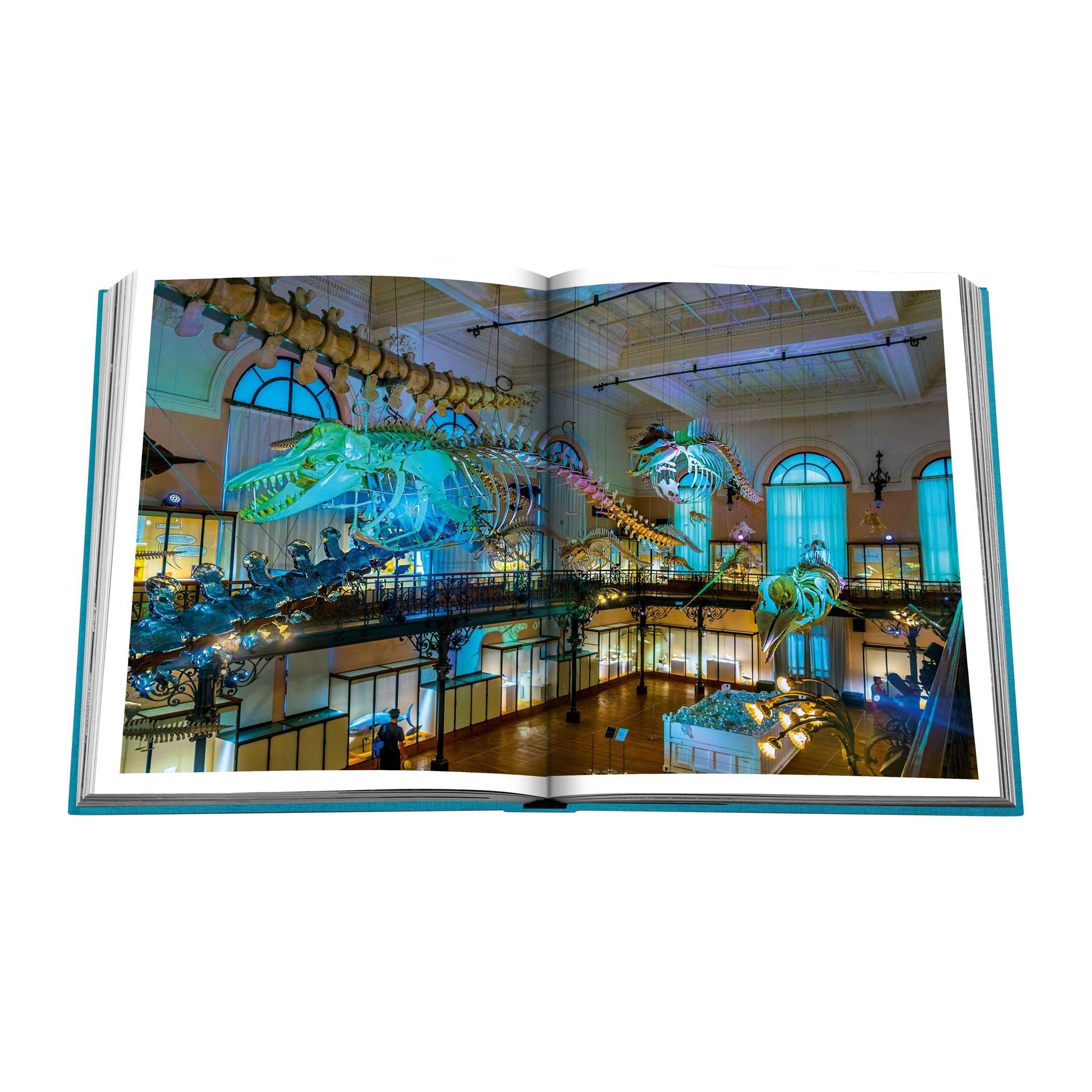 Blue - Assouline - Monte Carlo Book - 9
