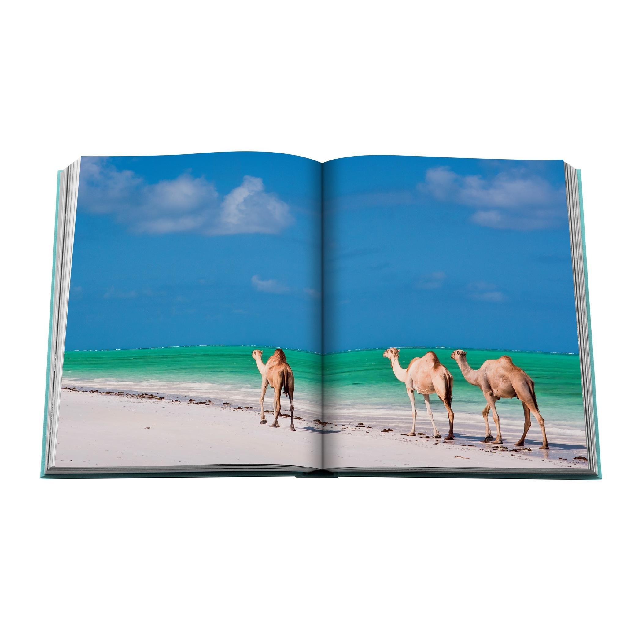 Blue - Assouline - Red Sea: The Saudi Coast Book - 2