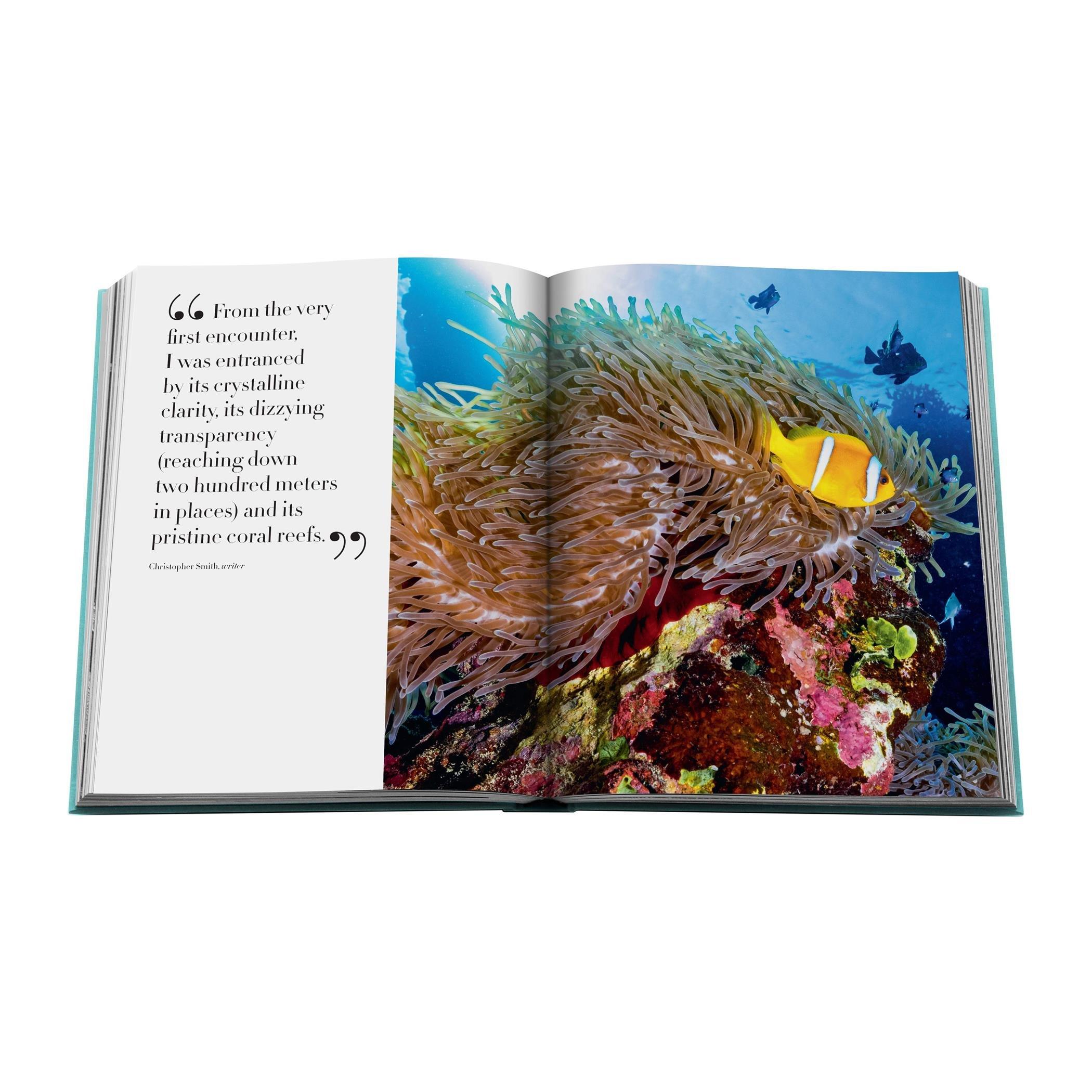 Blue - Assouline - Red Sea: The Saudi Coast Book - 7