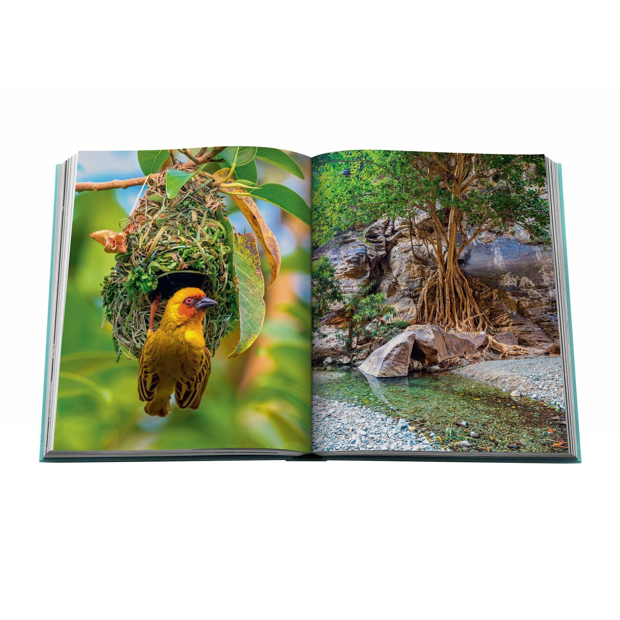 Blue - Assouline - Red Sea: The Saudi Coast Book - 9