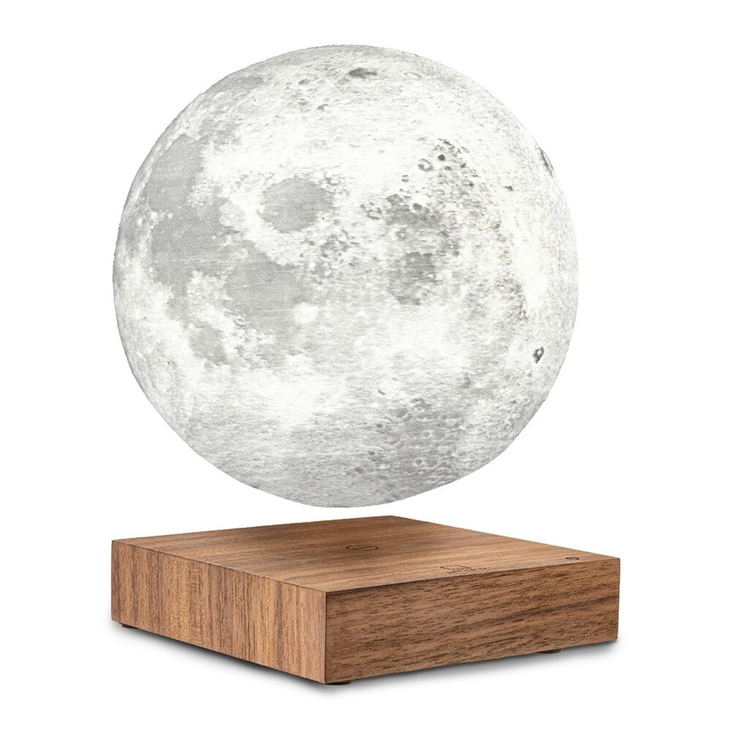 Brown - Gingko - Smart Moon Lamp - 9