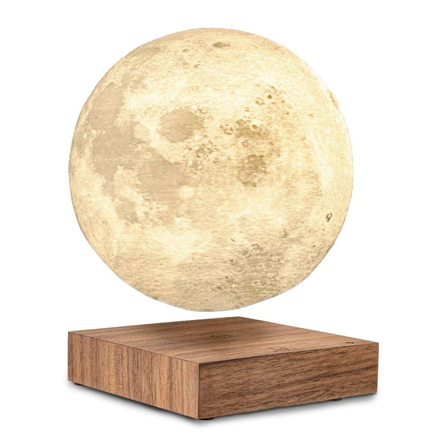 Brown - Gingko - Smart Moon Lamp - 10