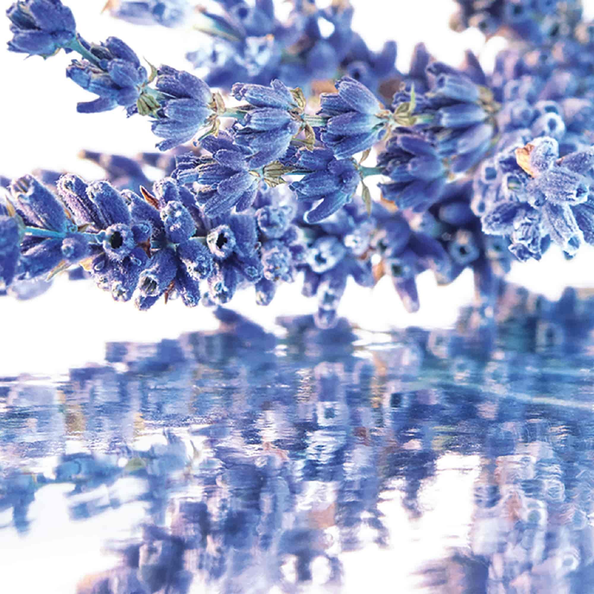 Mist - Guerlain - Mon Guerlain Eau de Parfum - 2