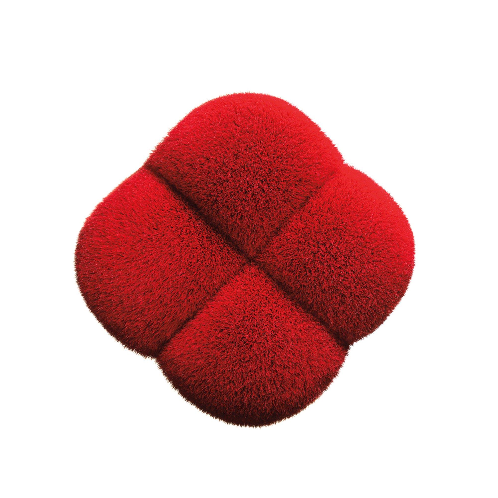 Nude - Shiseido - Hanatsubaki Hake Polishing Face Brush - 2