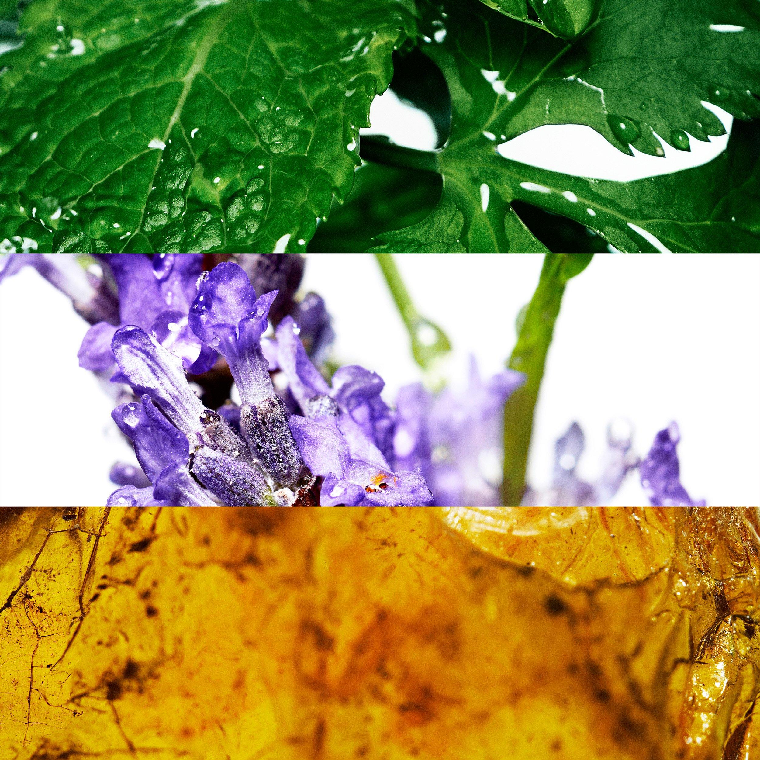 Multi - Davidoff - Cool Water Eau de Toilette Spray 200ml - 3