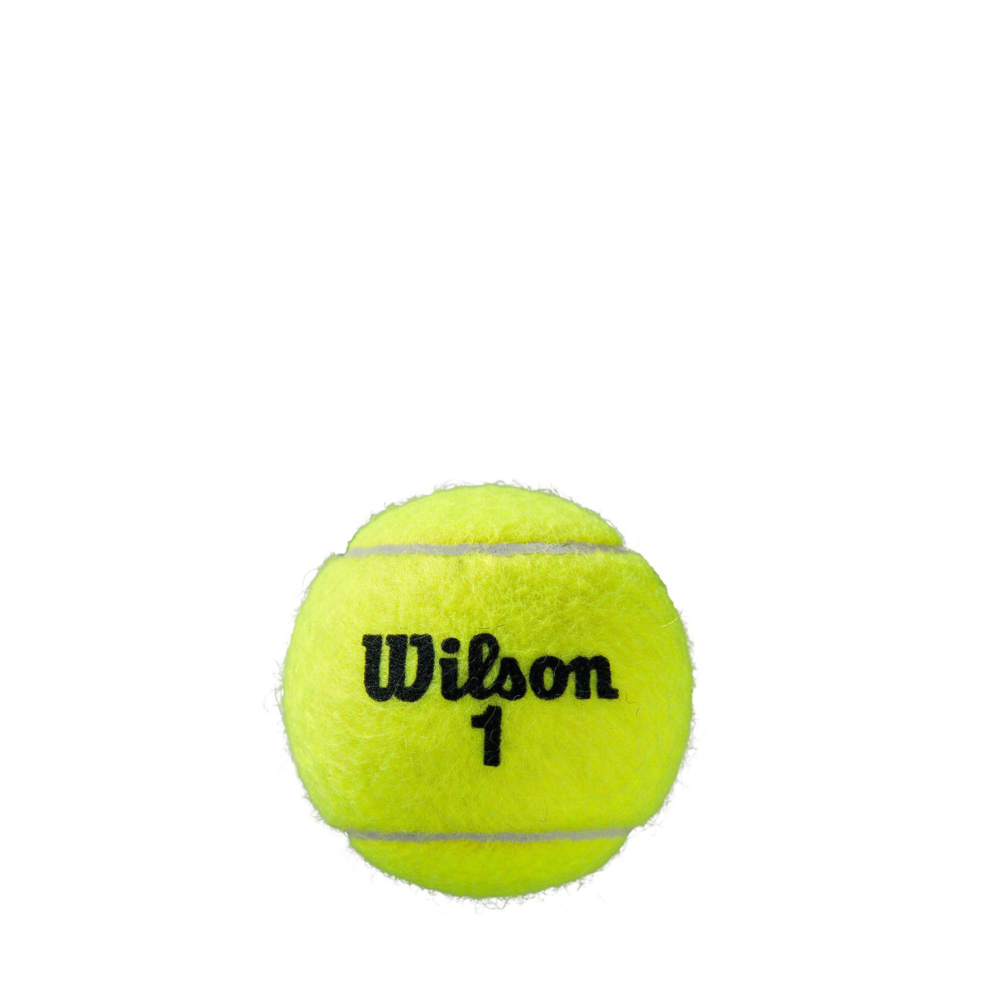 Gelb - Wilson - Roland Garros All Ct 4ball 2pk Tennis Ball Unisex Adults - 3