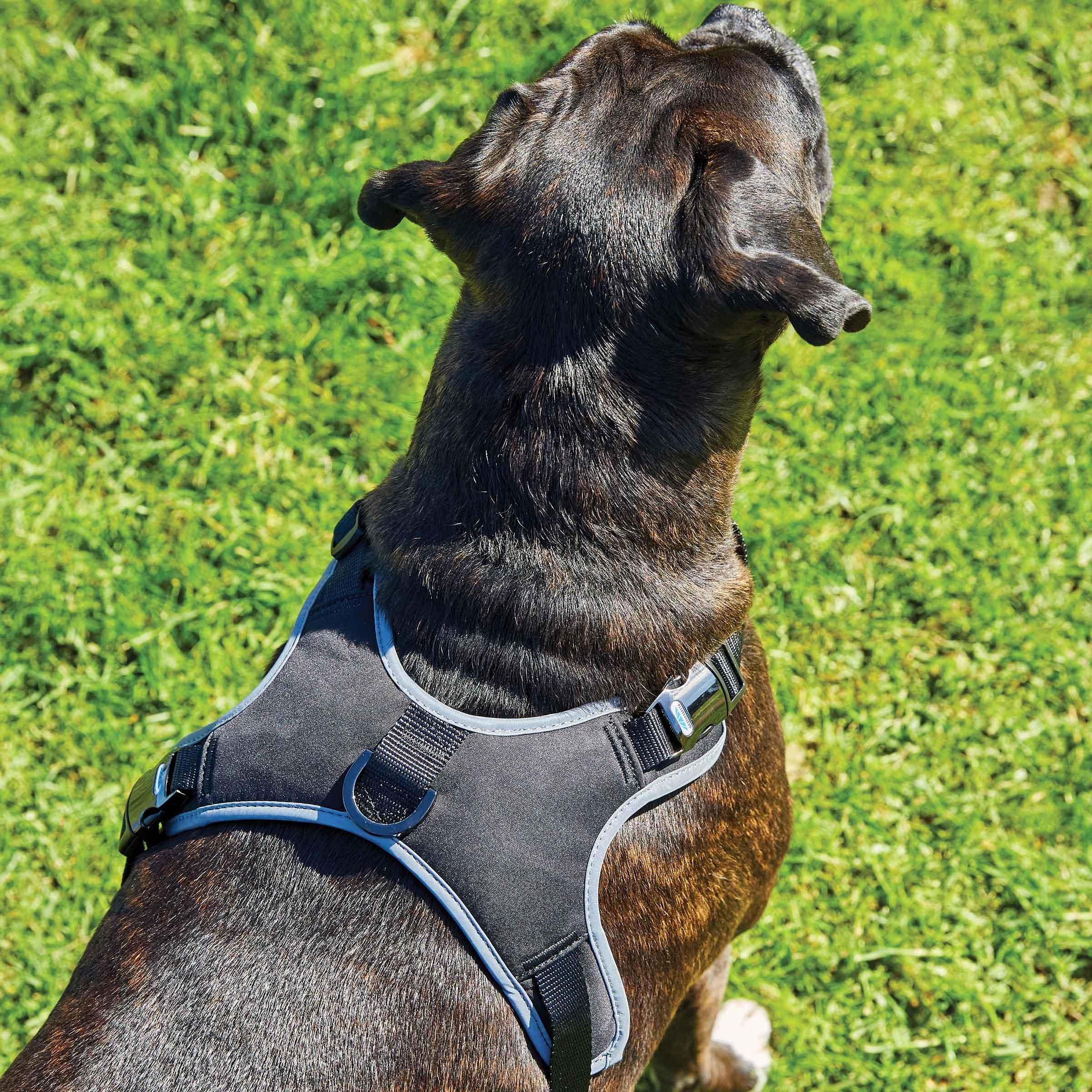 Negro - Weatherbeeta - Elegance Dog Harness - 2