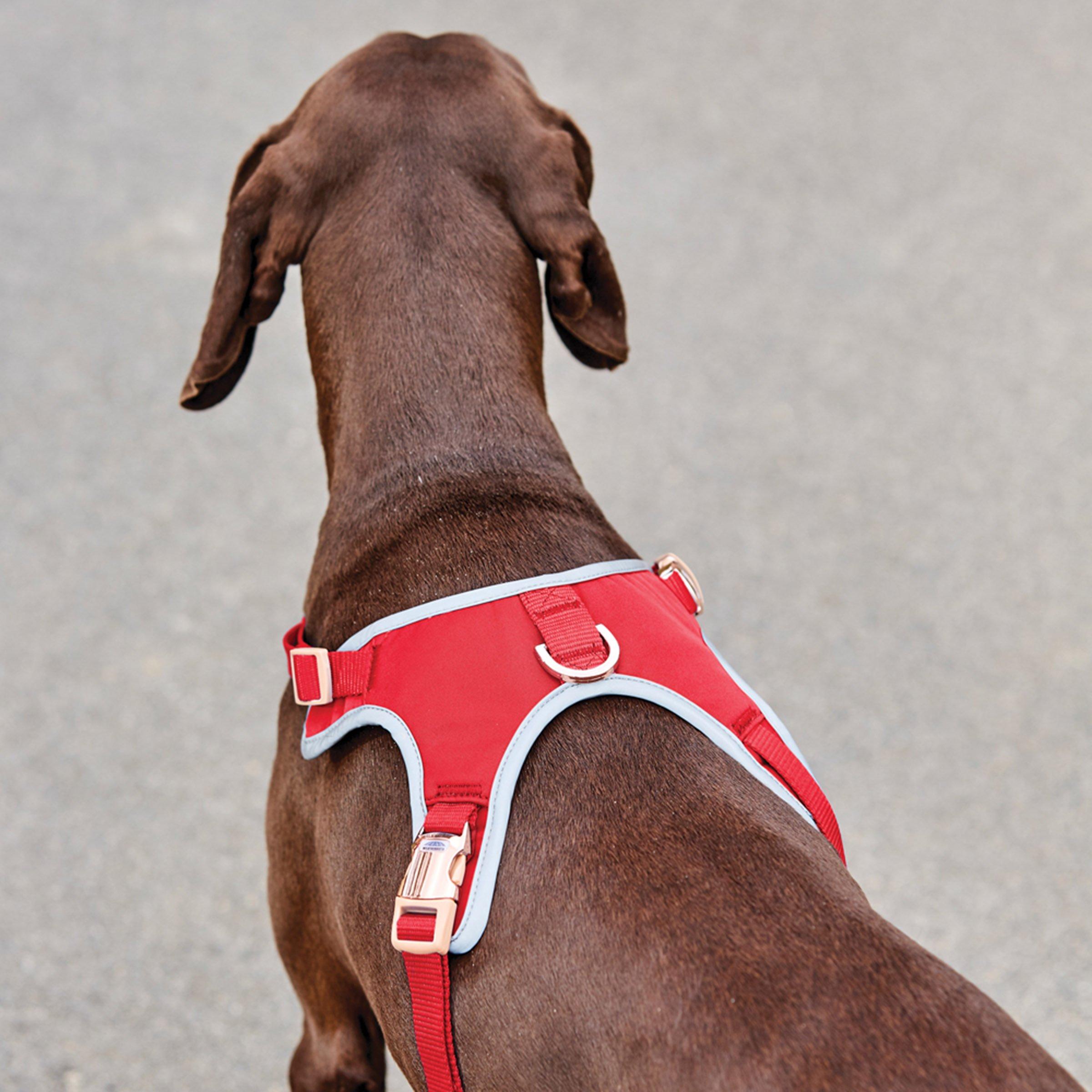 Red - Weatherbeeta - Elegance Dog Harness - 2