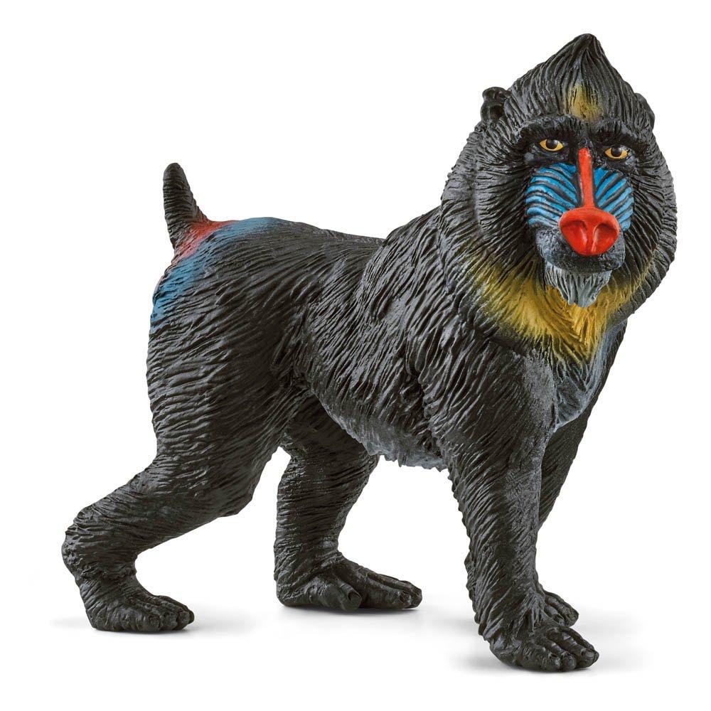 Schleich  Kids Wild Life Mandrill Toy Fi -  - 000