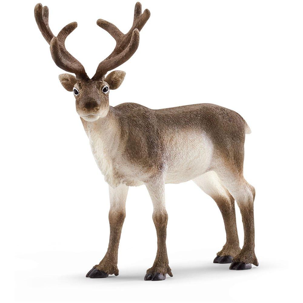 Schleich  Kids Wild Life Reindeer Toy Fi -  - 000