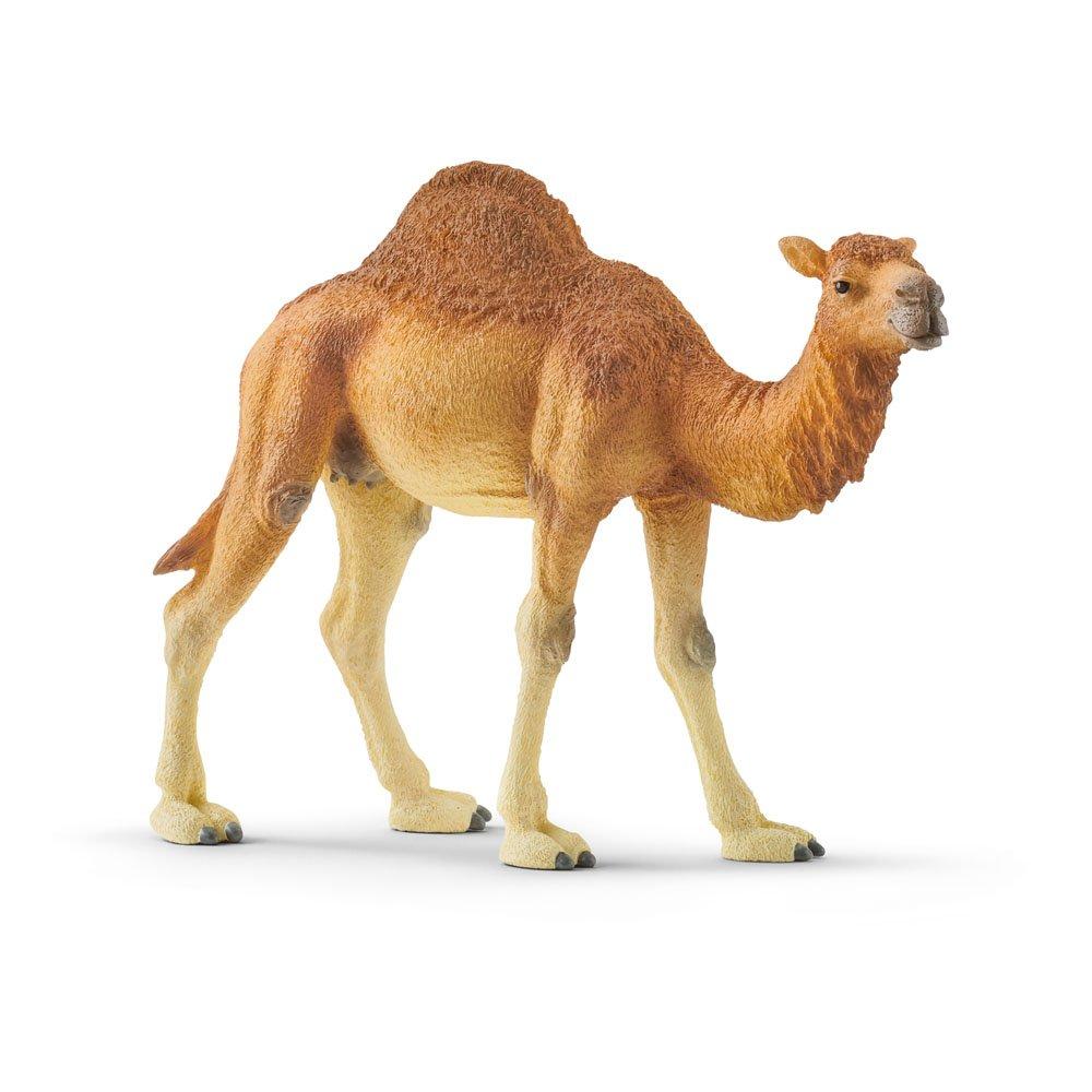 Multi - Schleich - Wild Life Dromedary Toy F - 1