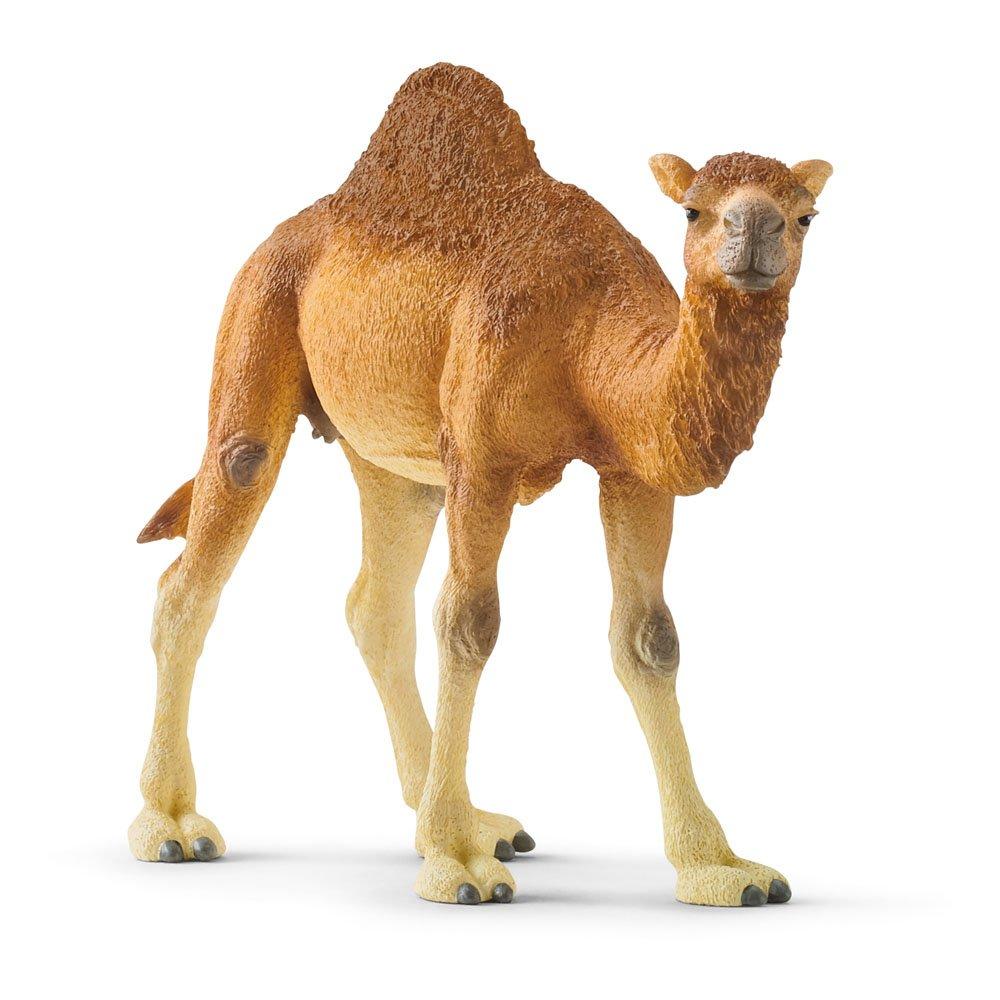 Multi - Schleich - Wild Life Dromedary Toy F - 2