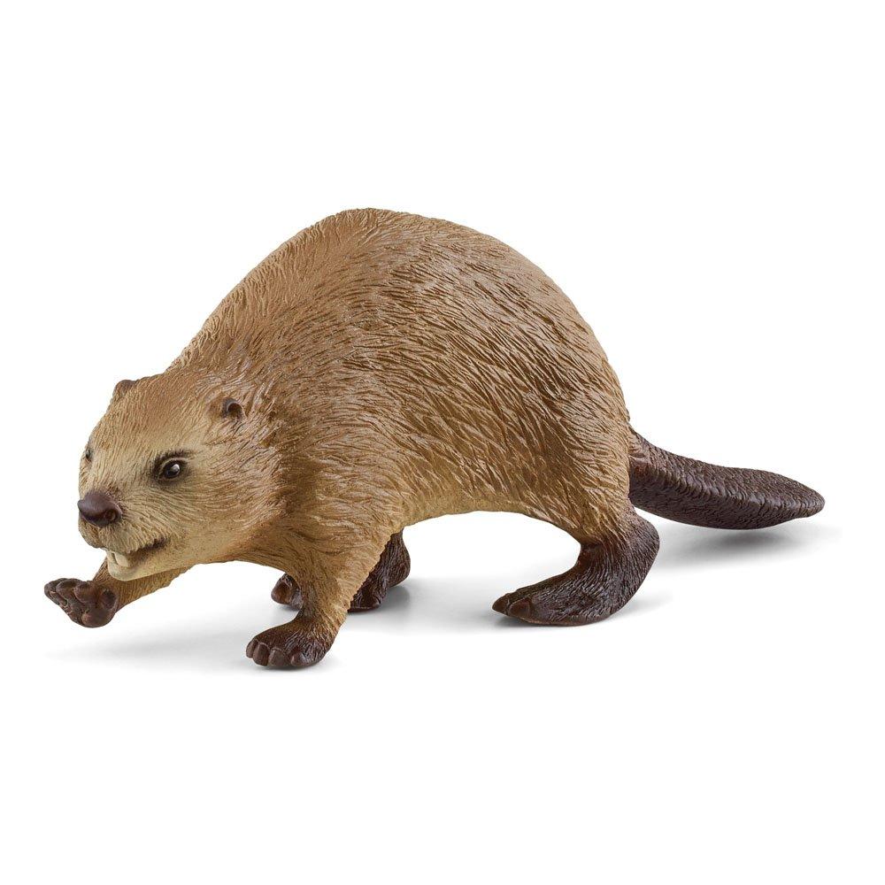 Multi - Schleich - Wild Life Beaver Toy Figu