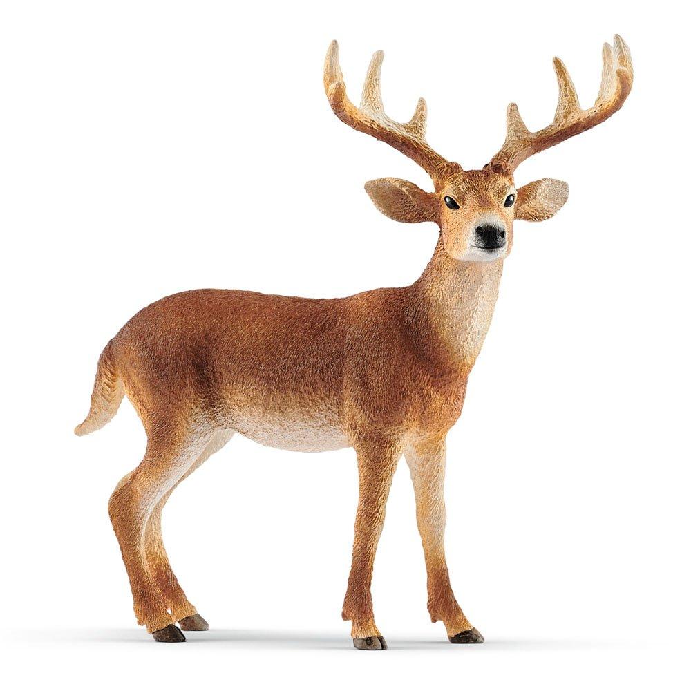 Schleich  Kids Wild Life White-Tailed Bu -  - 001